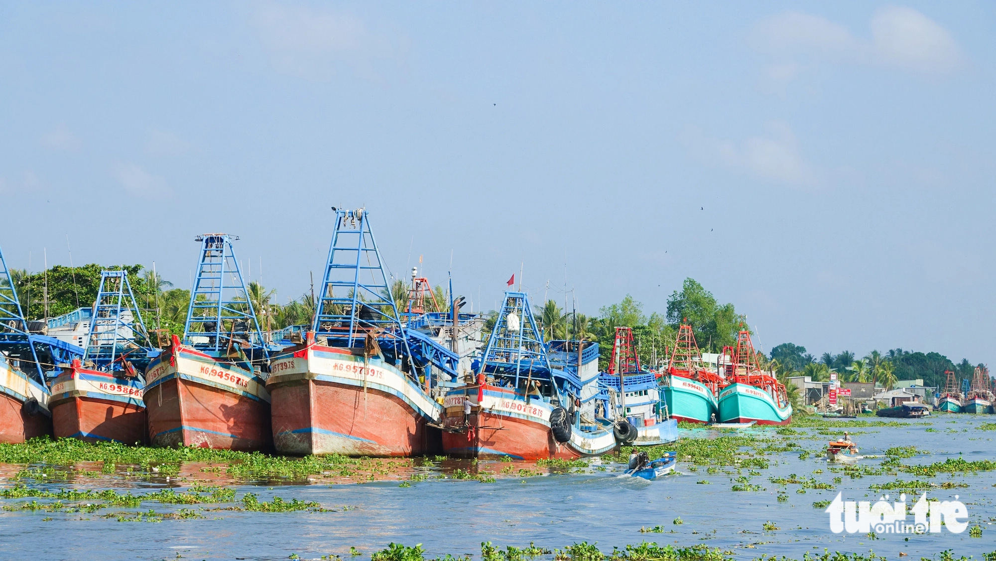 Tàu cá neo đậu dày đặc hai bên sông Cái Bé (huyện Châu Thành, Kiên Giang) - Ảnh: CHÍ CÔNG