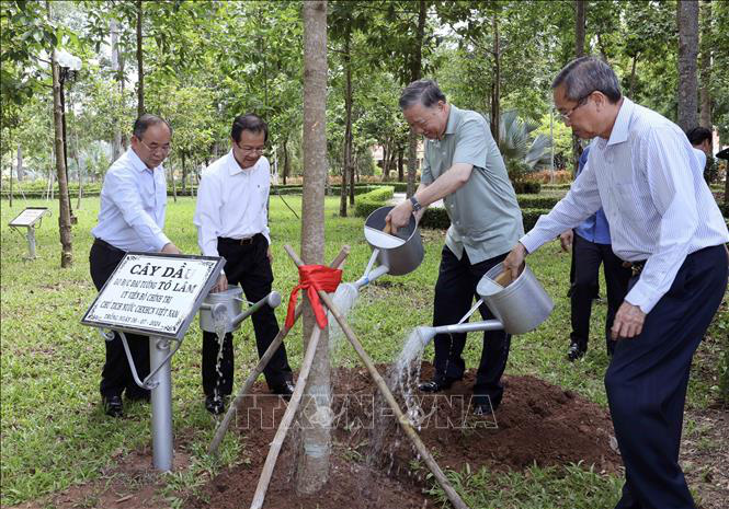 Chủ tịch nước Tô Lâm trồng cây trong khu lưu niệm Chủ tịch Tôn Đức Thắng ở An Giang - Ảnh: TTXVN