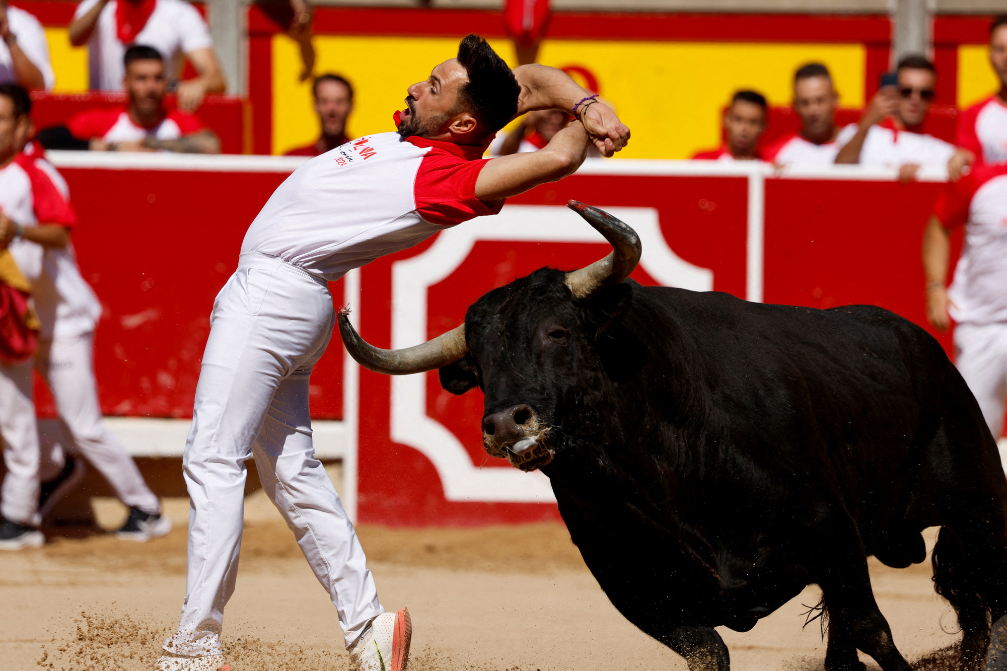 Người đấu bò biểu diễn đi qua con bò tót tại một cuộc thi thuộc lễ hội San Fermin ở thành phố Pamplona, Tây Ban Nha hôm 7-7. Những người đấu bò sẽ tập các động tác không sát thương, bao gồm: đi qua, xoay tròn và nhảy để không làm tổn thương bò tót. - Ảnh: REUTERS