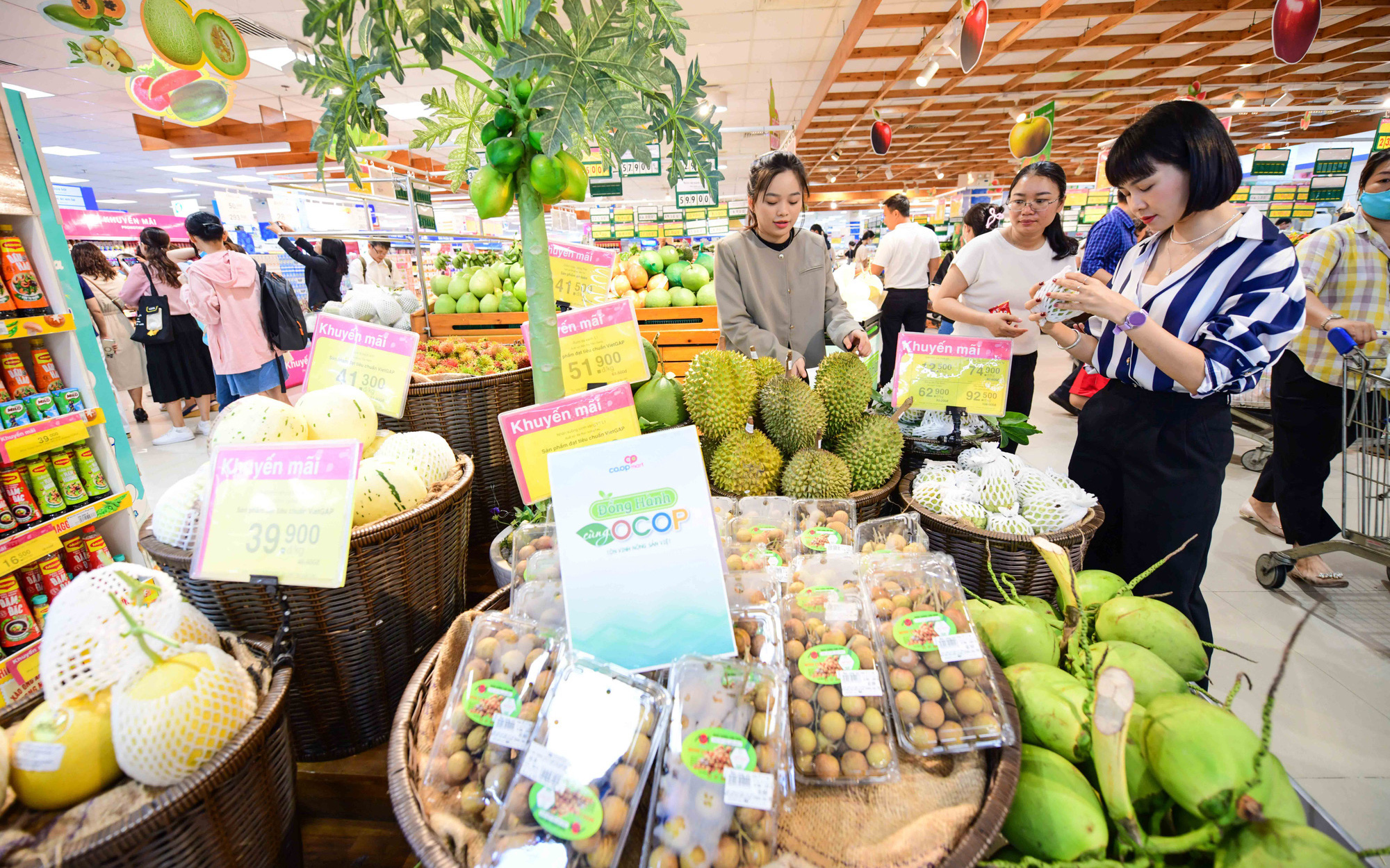 Hơn 500 sản phẩm OCOP tại Lễ hội Tôn vinh nông sản Việt