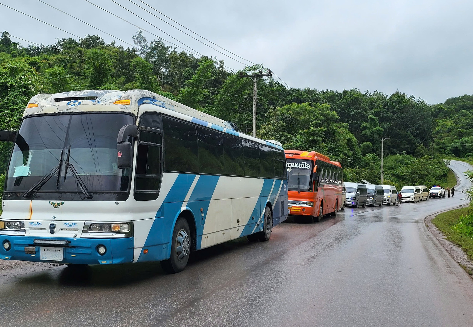 Đoàn xe ban chuyên án di lý các nghi phạm lừa đảo sau khi bị bắt giữ - Ảnh: CACC