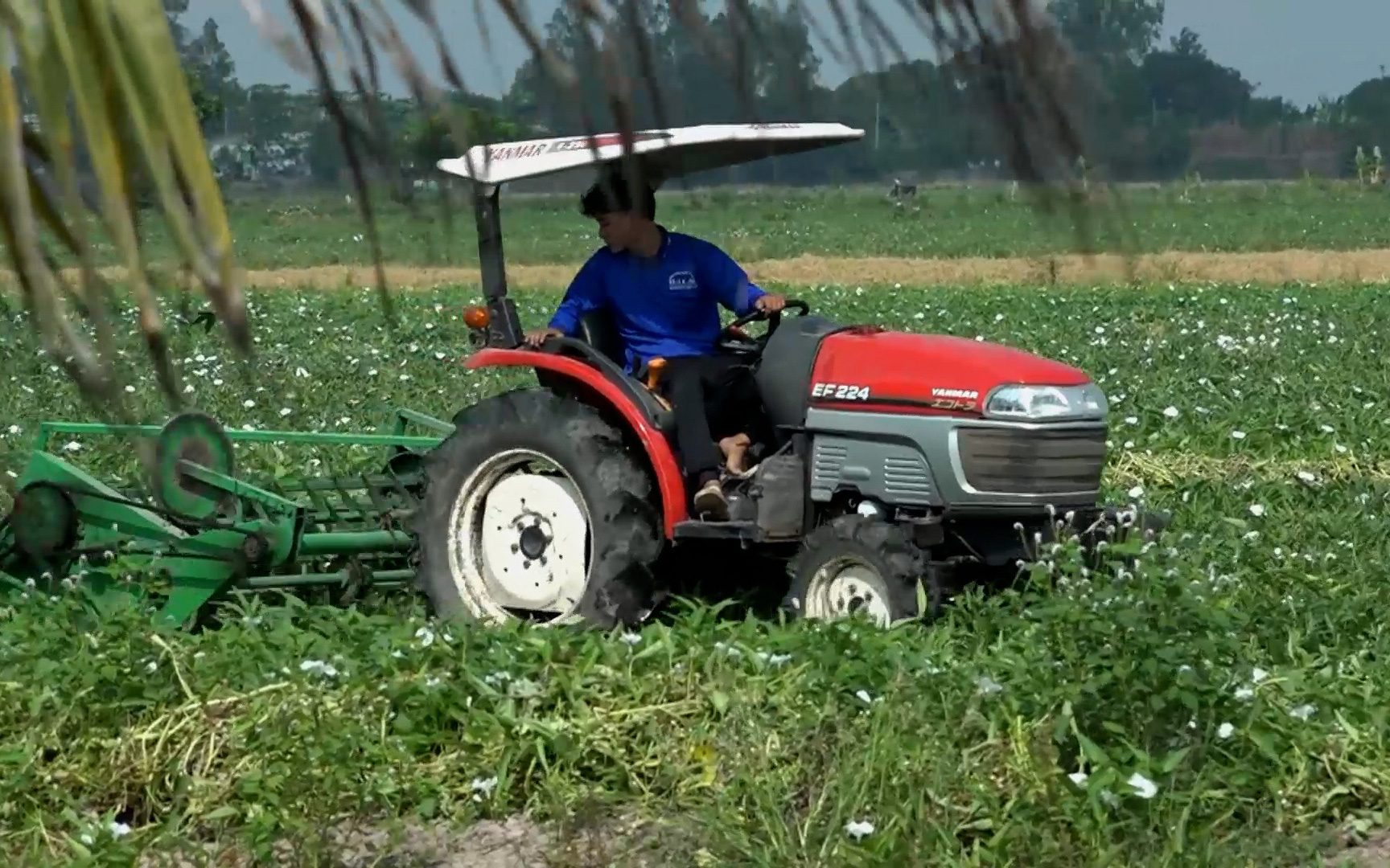 Cuộc thi Lan tỏa năng lượng tích cực 2024: Xương rồng và tình yêu - Ảnh 1.