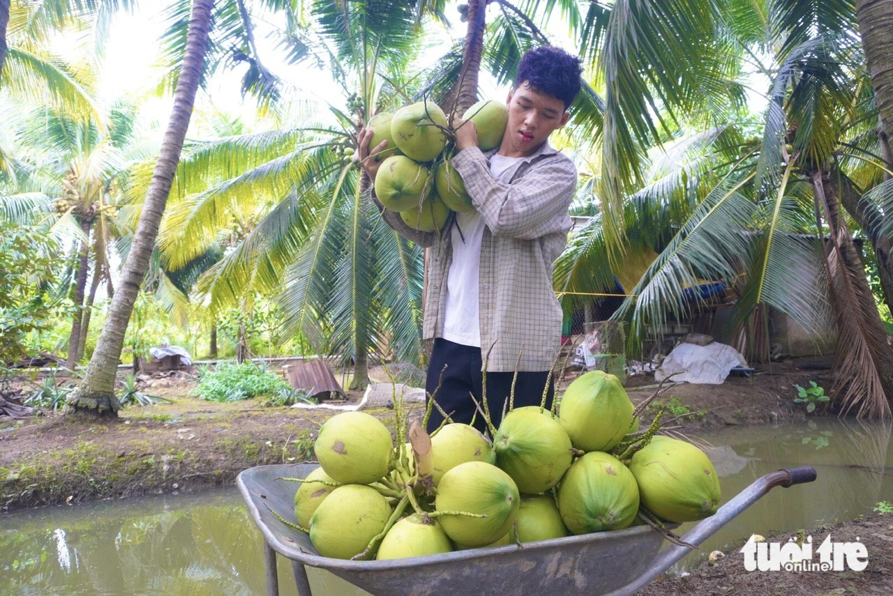 Vào đại học từ chòi canh dừa và tình thương của nội - Ảnh 4.