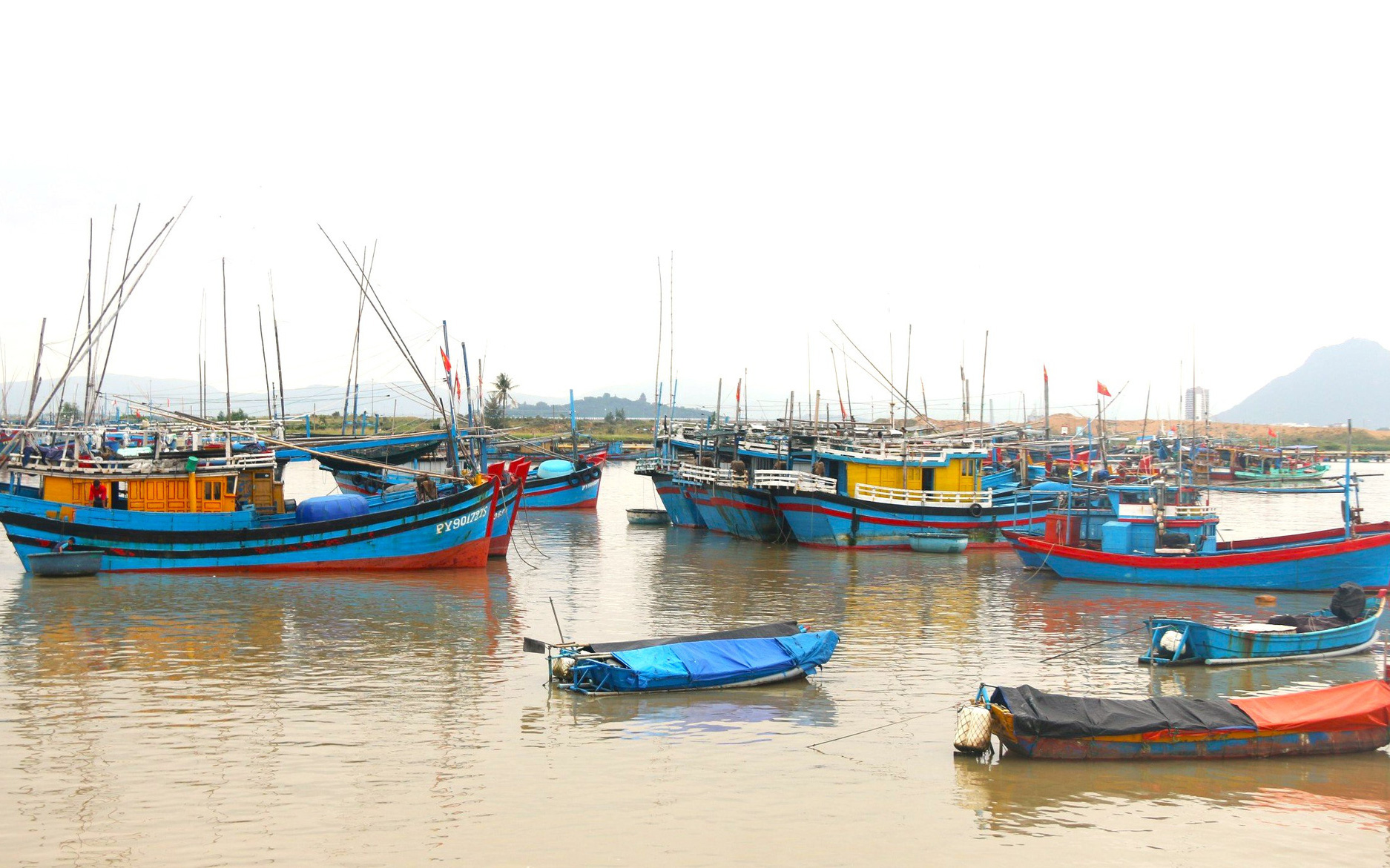 Tàu cá bị chìm gần đảo Phú Quý, 4 ngư dân được cứu sống- Ảnh 2. Tạm dừng cải hoán tàu cá dưới 15m thành 15m trở lên