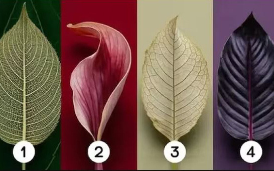 Quiz: Khám phá thông điệp vũ trụ muốn nhắn gửi tới bạn ngay lúc này - Ảnh 2.