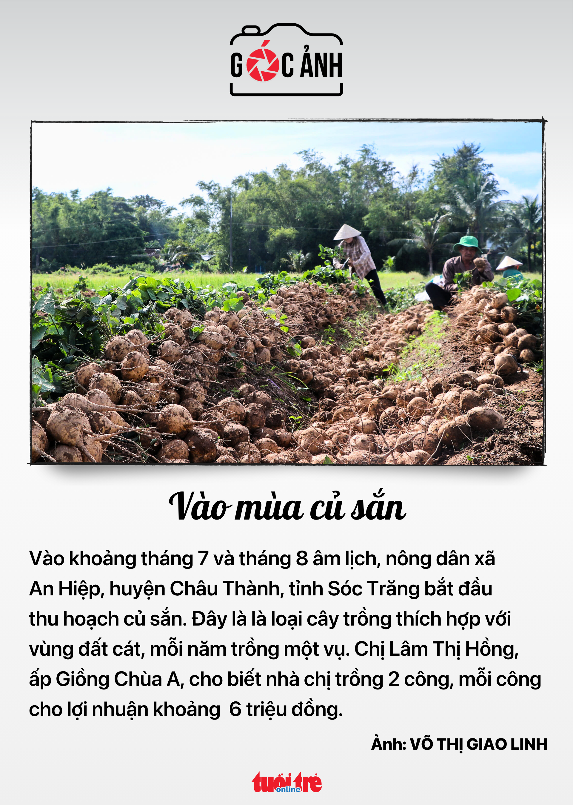 Tin tức sáng 26-8: - Ảnh 7.