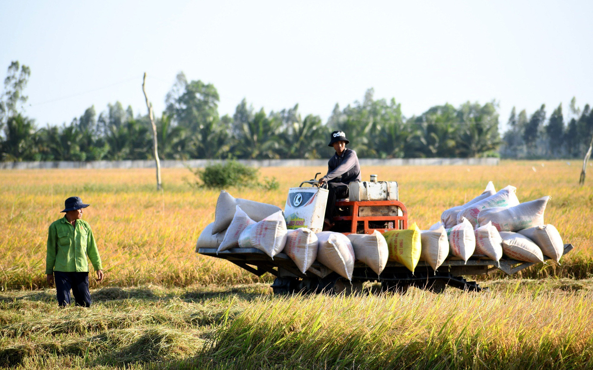 Bộ trưởng Lê Minh Hoan: ‘Làm tốt các khâu, thu nhập nông dân sẽ cao hơn’- Ảnh 5. Hai bộ trưởng đồng tình đề xuất thành lập Hội đồng Lúa gạo quốc gia