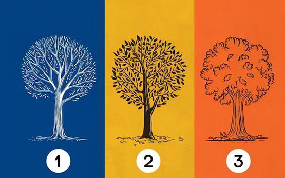 Quiz: Hình ảnh tiết lộ mức độ khôn ngoan, khéo léo của bạn