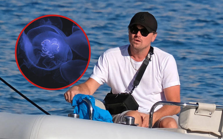 Tiệc sinh nhật toàn sao của Leonardo DiCaprio - Ảnh 11.