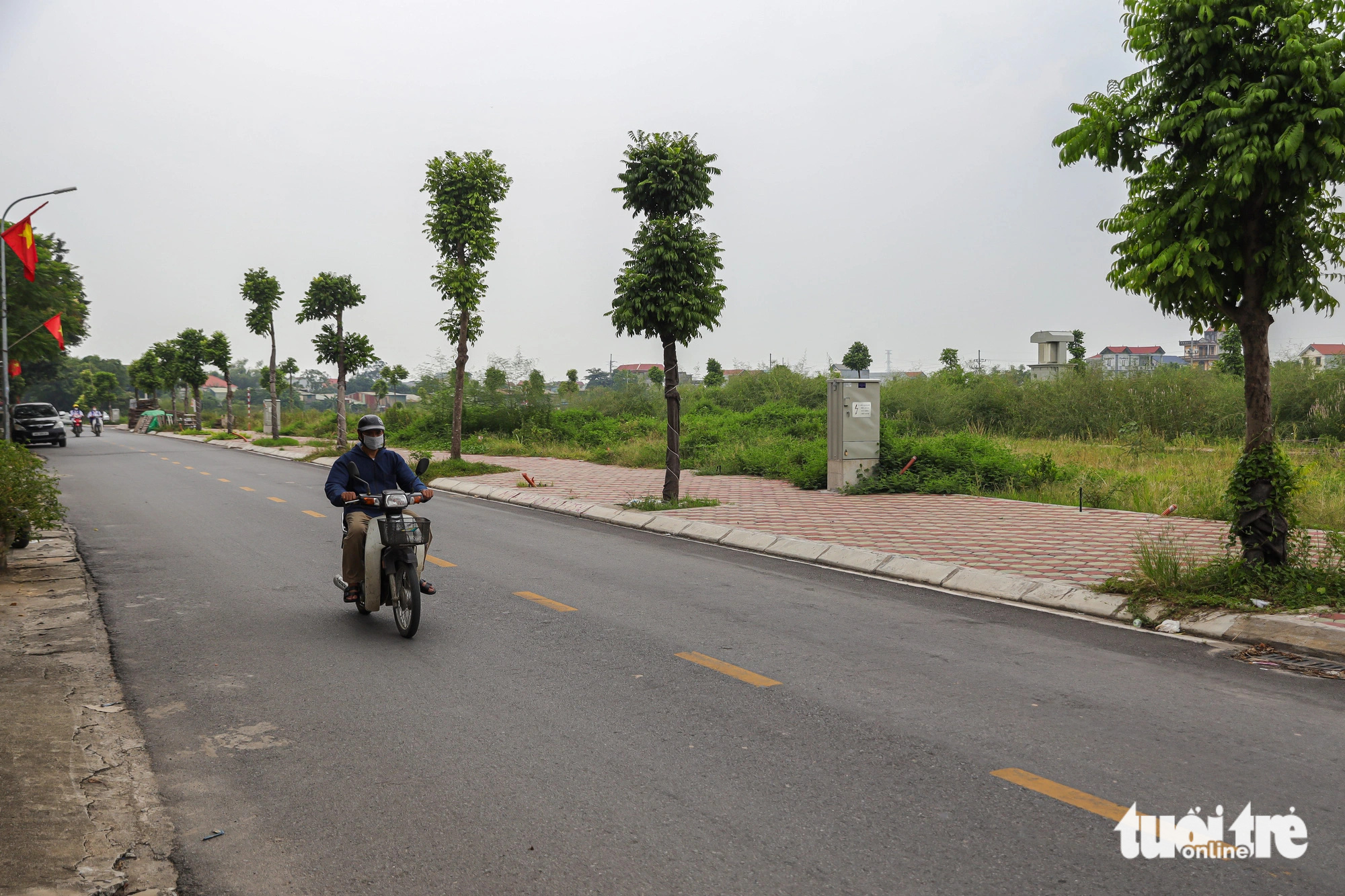 Ngôi nhà cấp 4 nằm lọt thỏm giữa khu đất đấu giá - Ảnh 5.