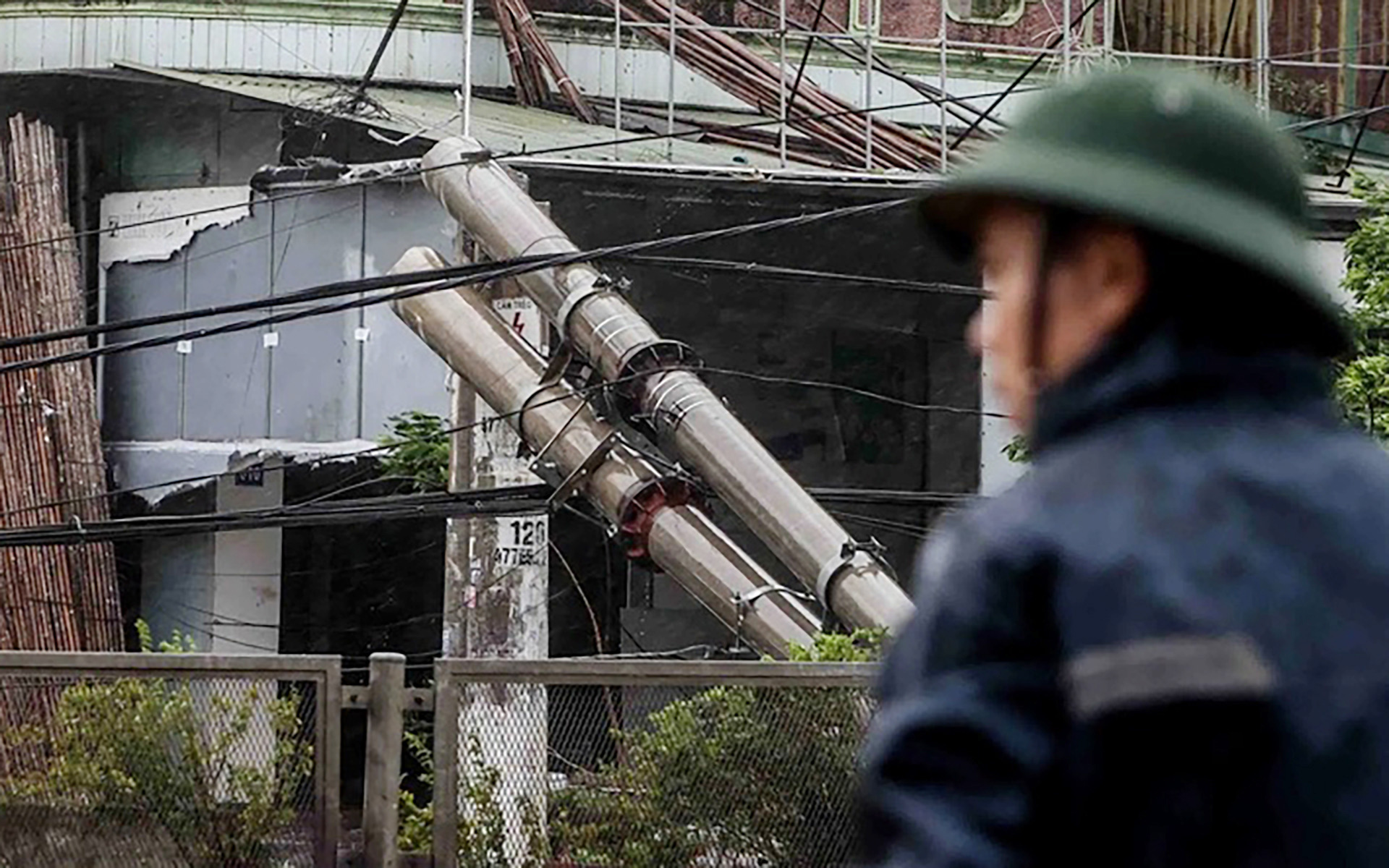 Lý do chính thức tạm đình chỉ chức vụ giám đốc Điện lực Hạ Long - Ảnh 1. Lý do chính thức tạm đình chỉ chức vụ giám đốc Điện lực Hạ Long - Ảnh 1.