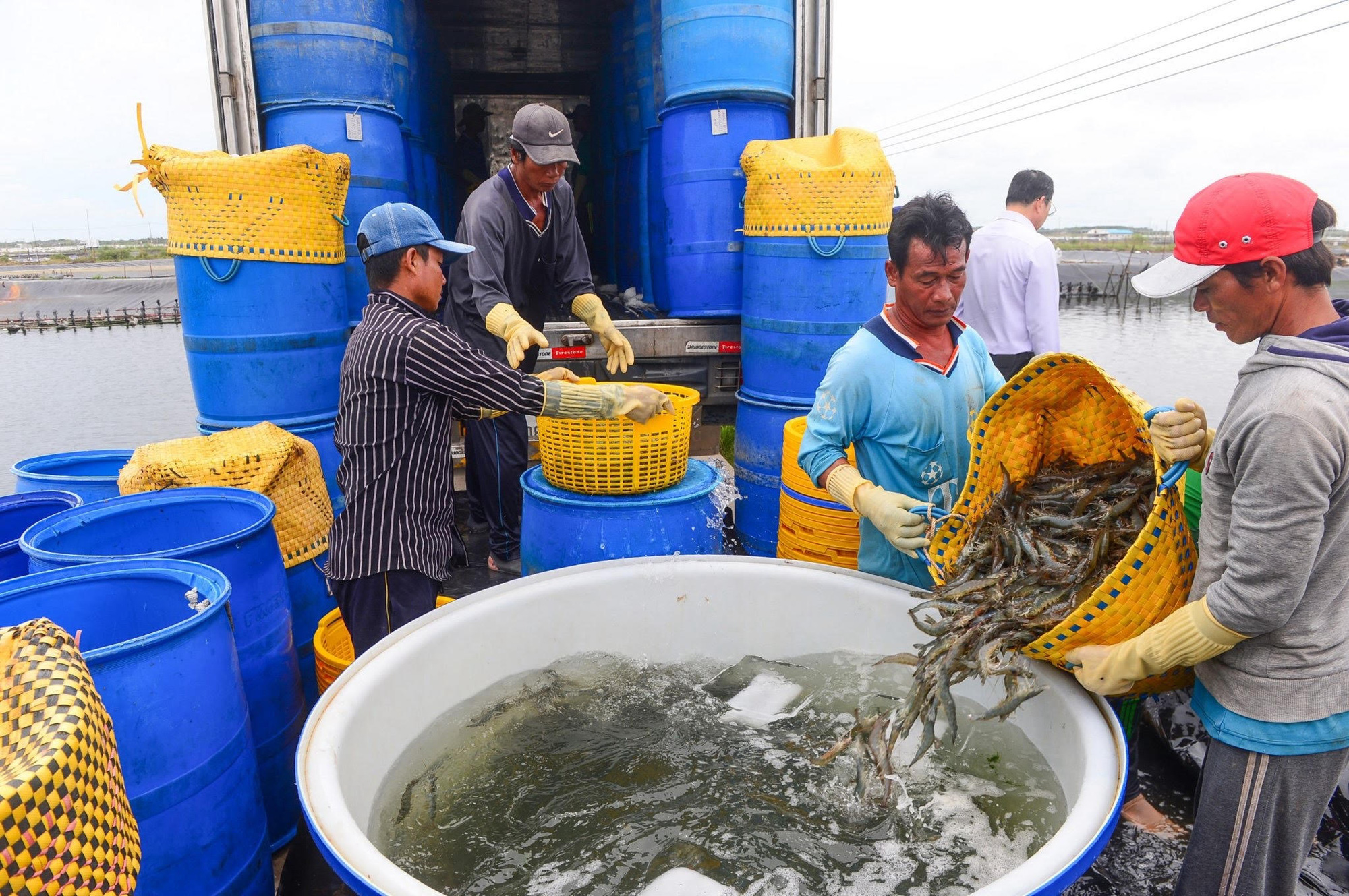 Tin tức sáng 13-9: Kho bạc Nhà nước muốn 'gom' 100 triệu USD từ ngân hàng - Ảnh 4.