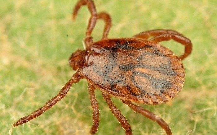 AI phát hiện hơn 160.000 loại virus mới - Ảnh 2.