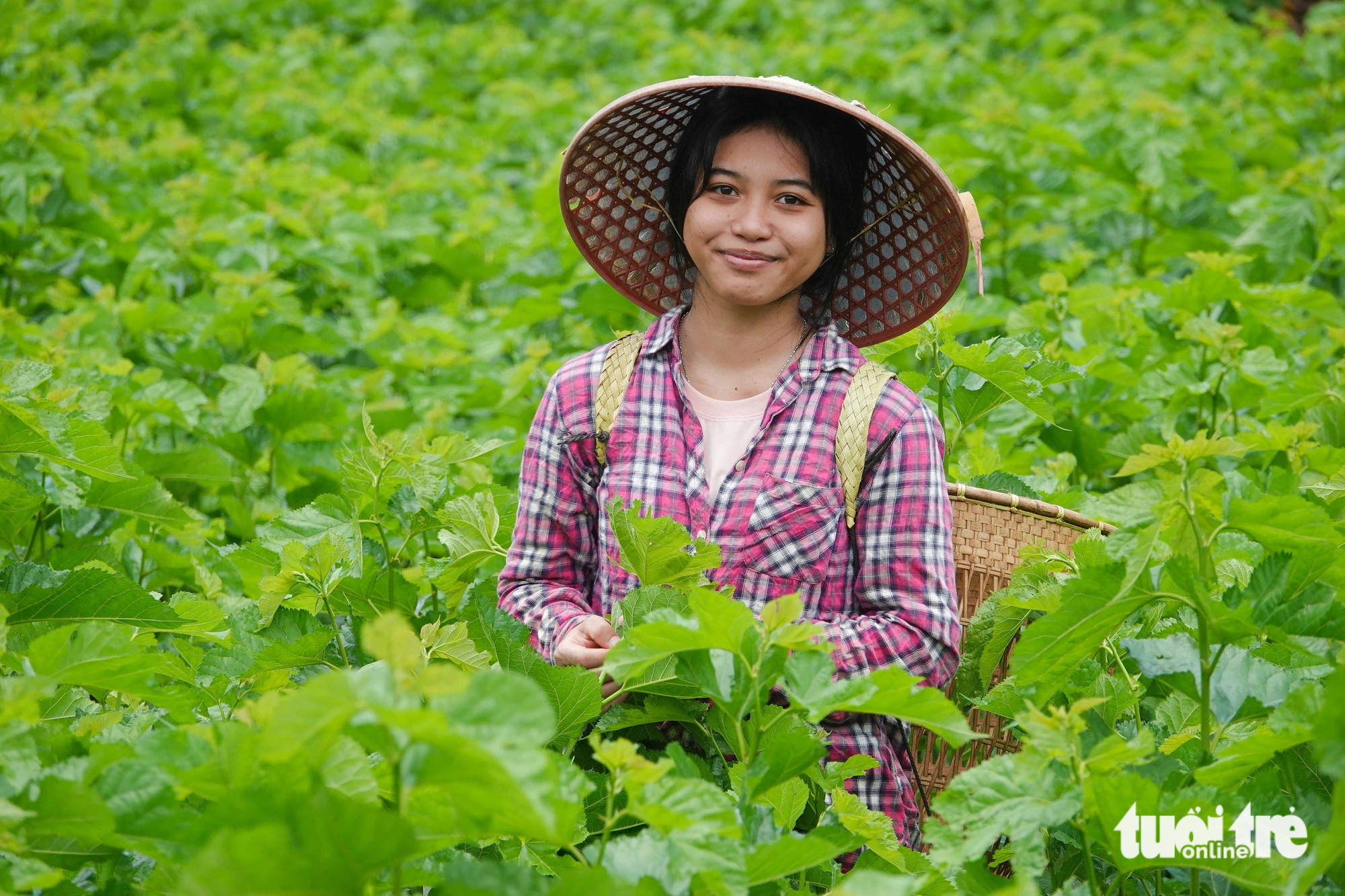 Khát khao của Ka Thẩm - Ảnh 3.