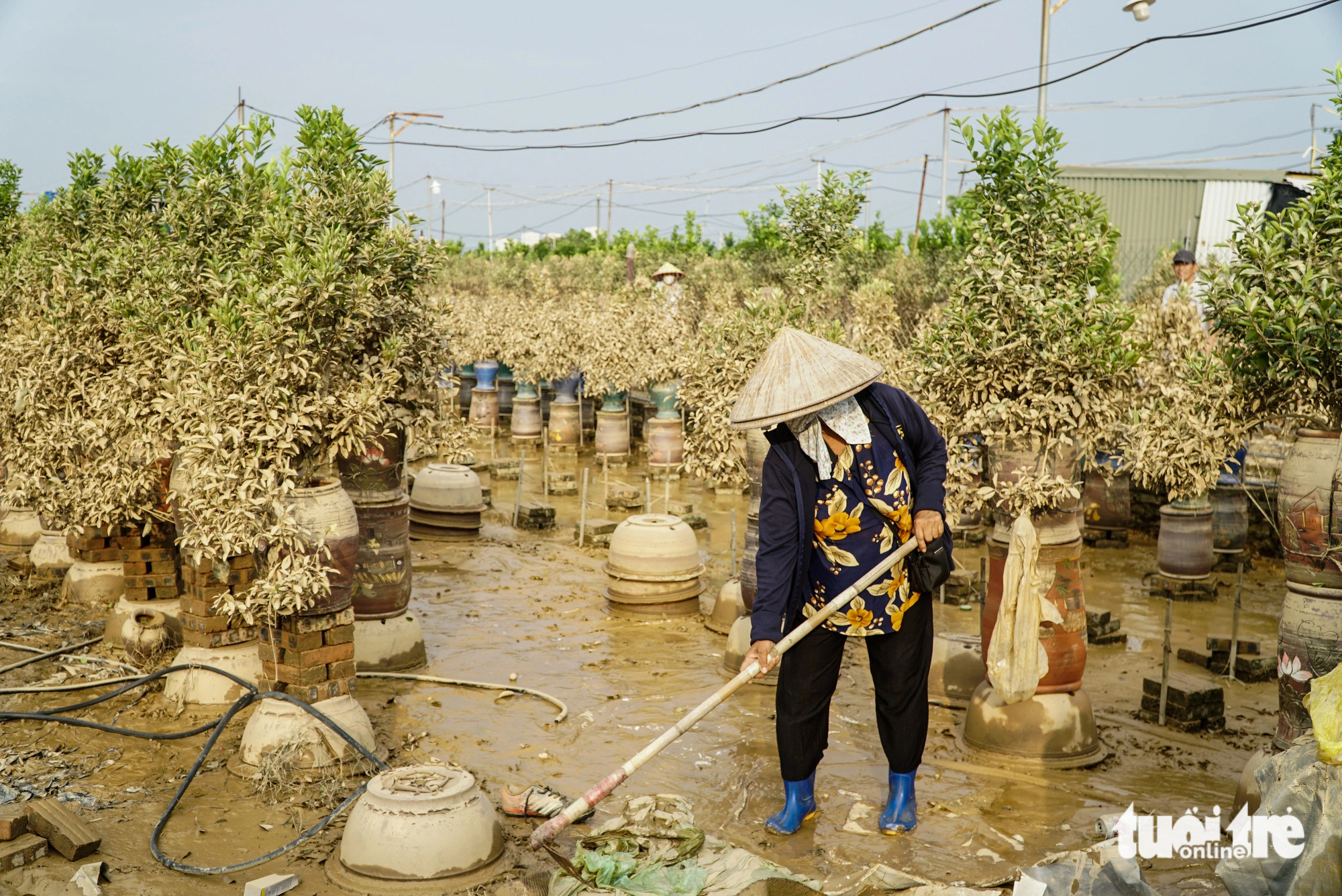 Bà con làng quất Tứ Liên, làng đào Nhật Tân mất Tết - Ảnh 5.