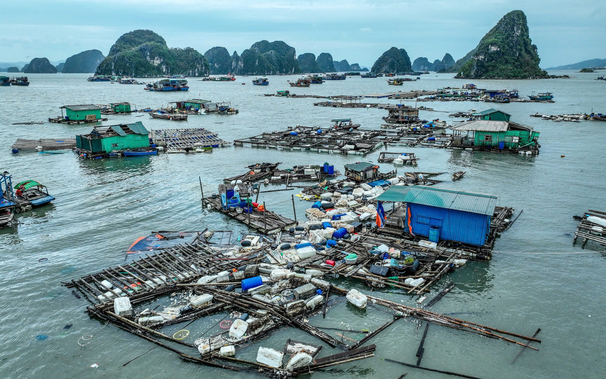 Tôm, cua, cá 'đắt khách', xuất khẩu thủy sản tự tin thu về 10 tỉ USD - Ảnh 2.