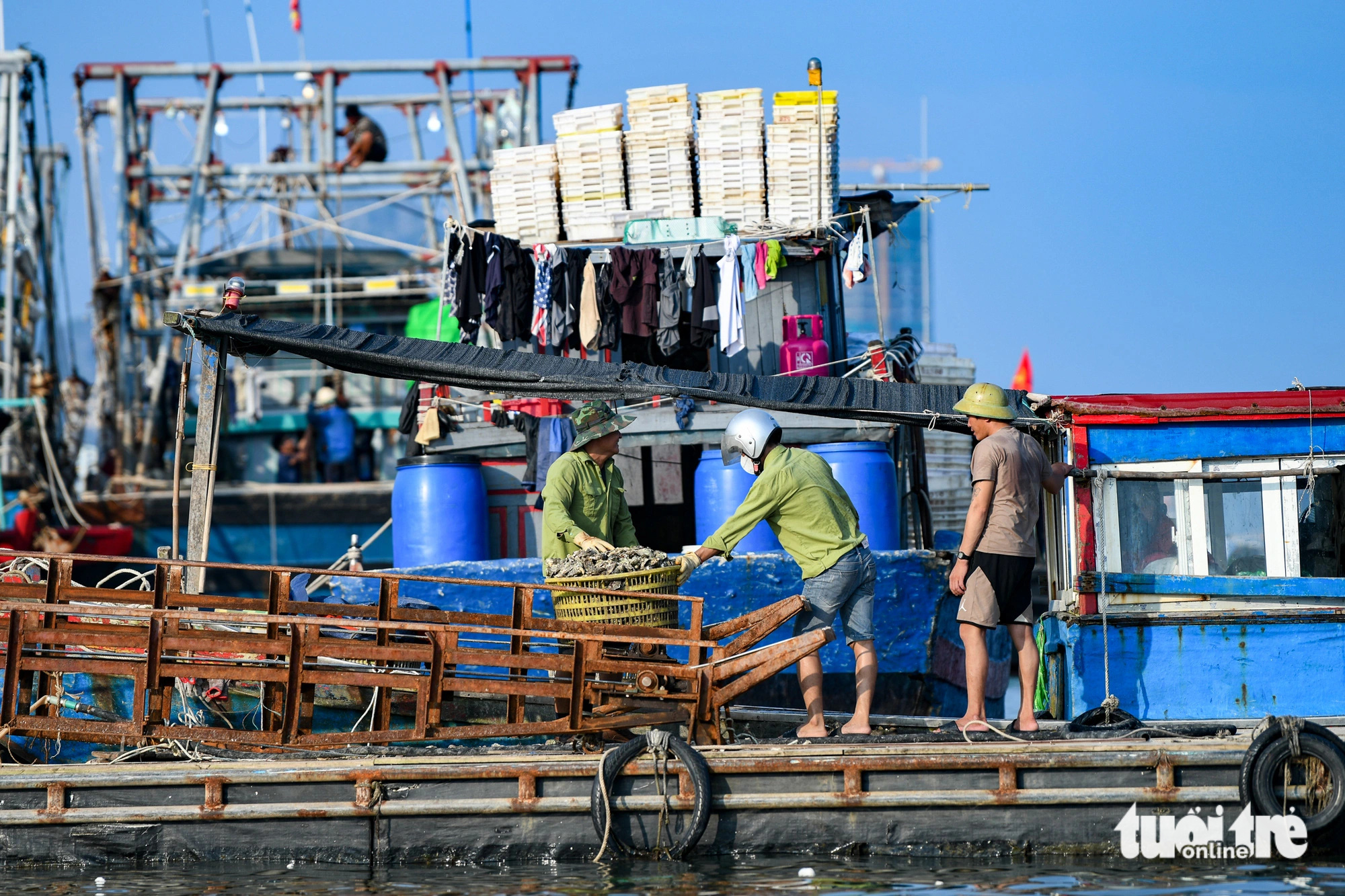 Biển Vân Đồn ‘hồi sinh’ sau bão - Ảnh 4.