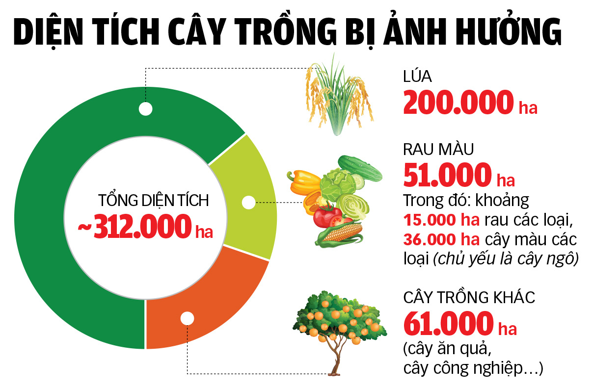 Đưa hàng ra Bắc, không để giá nhảy múa - Ảnh 2.