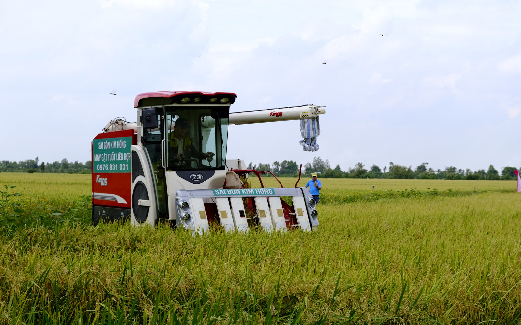 Đề án 1 triệu ha lúa: tăng từ 2,3-7,6 triệu đồng/ha so với ngoài mô hình - Ảnh 5.