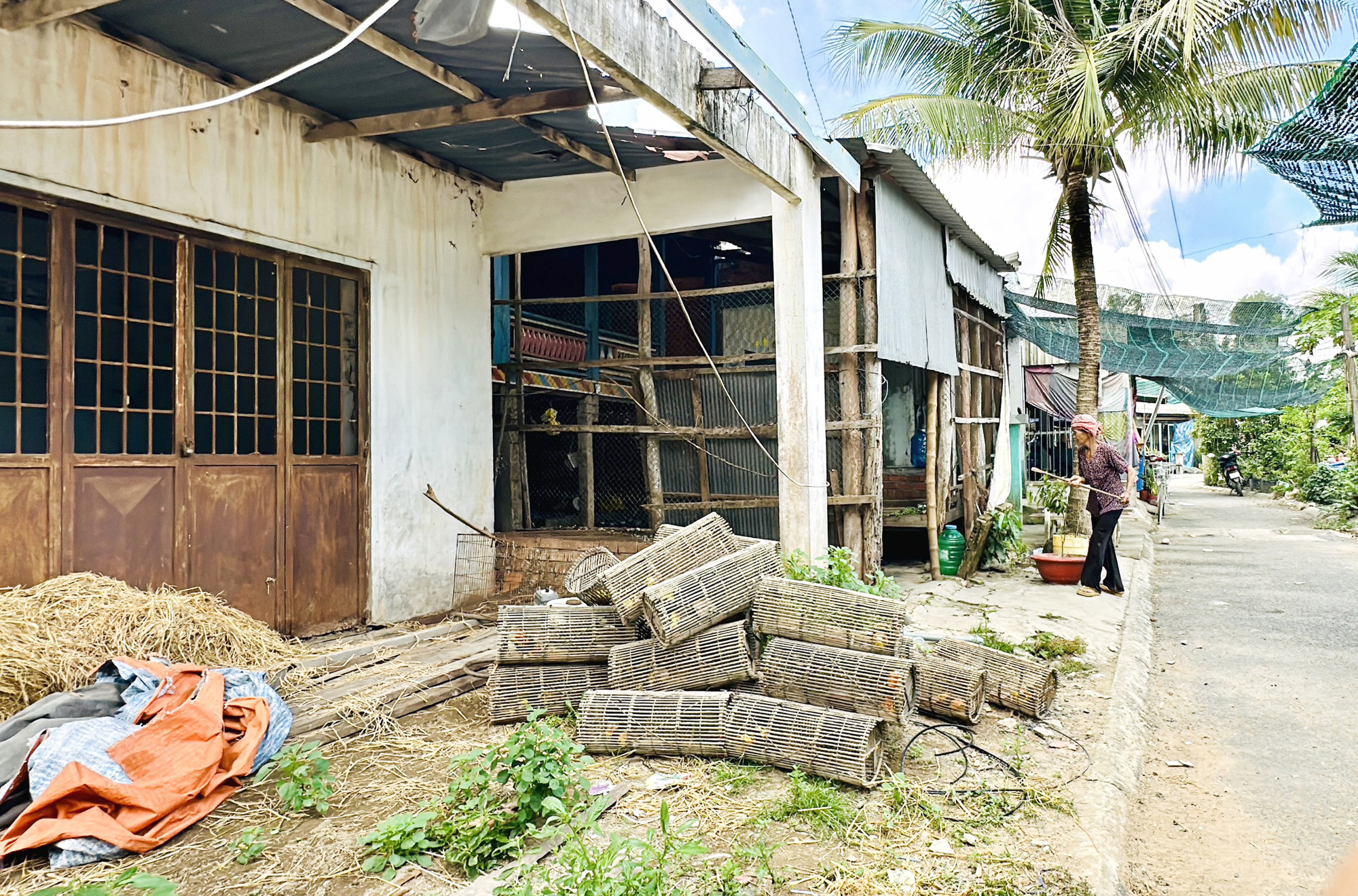 Cụm dân cư vượt lũ hoang vắng, bài giải nào cho những lô nền trơ trọi hơn 20 năm? - Ảnh 3.