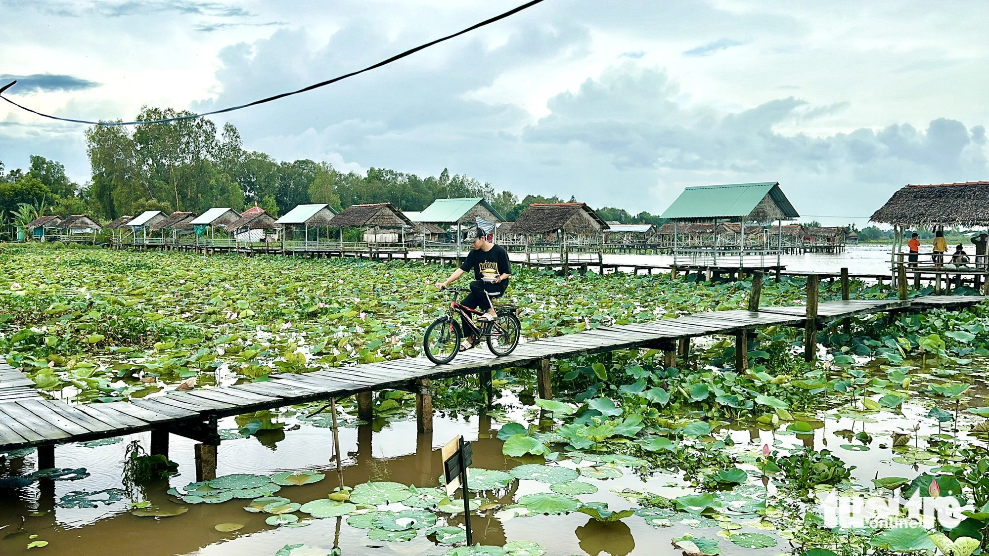 Trải nghiệm mùa nước nổi miền Tây và những món ngon hút hồn - Ảnh 5.