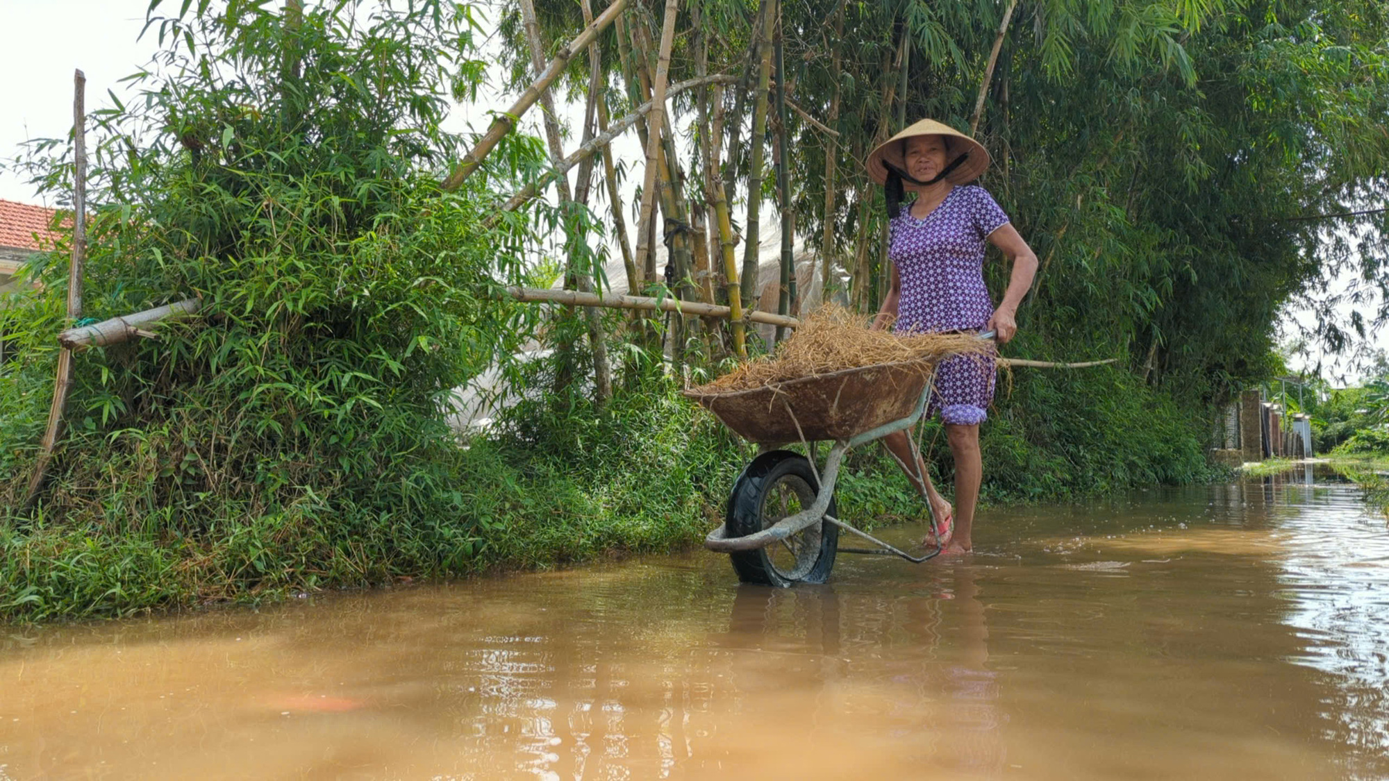 Tuổi thơ thật buồn của nữ tân sinh viên Huế: Đang chữa trị chứng tâm thần cho mẹ thì mất cha - Ảnh 4.