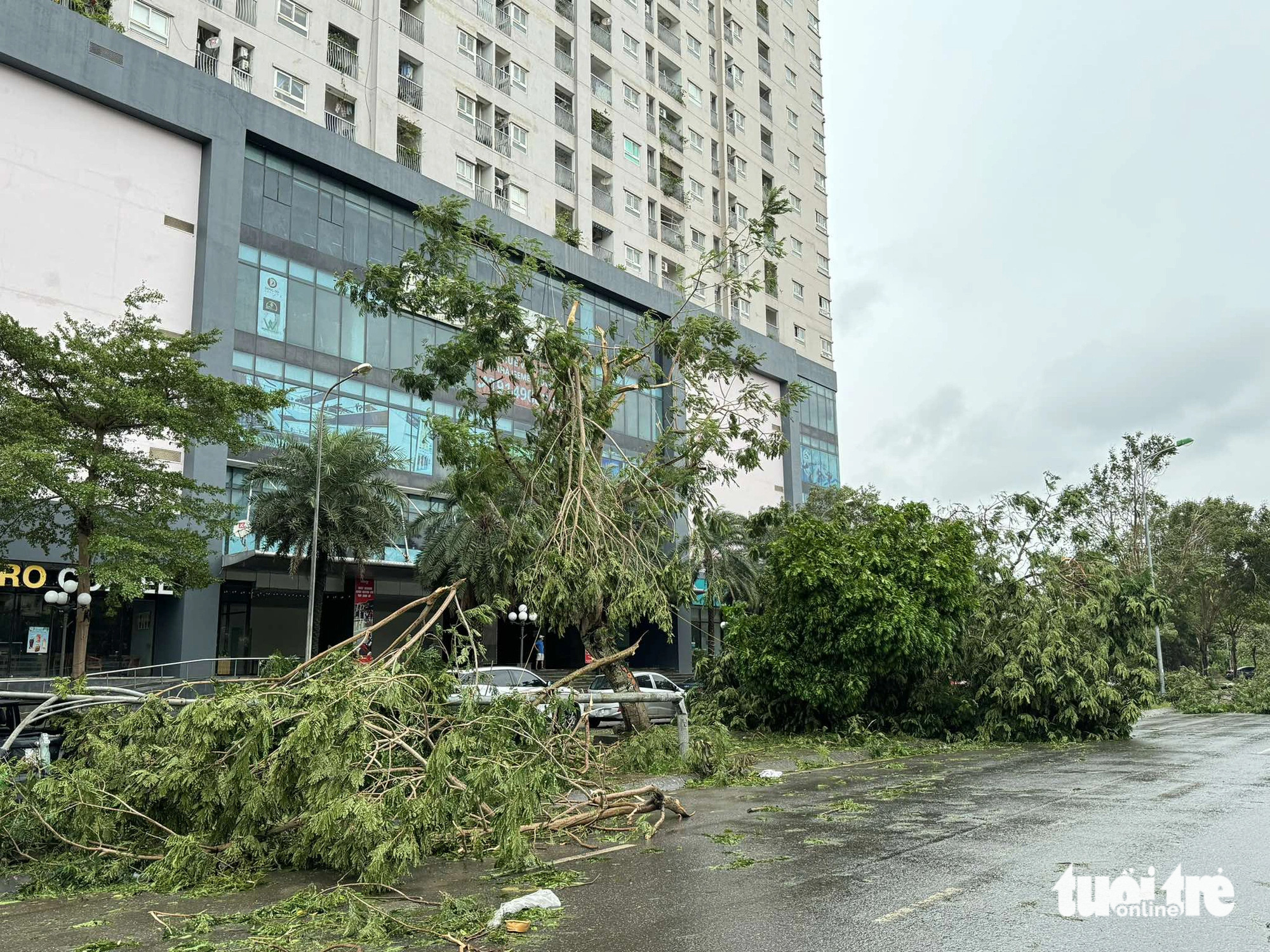 Sau ngày đêm bão số 3 càn quét khủng khiếp: Các tỉnh miền Bắc ngổn ngang cảnh gãy đổ - Ảnh 9.