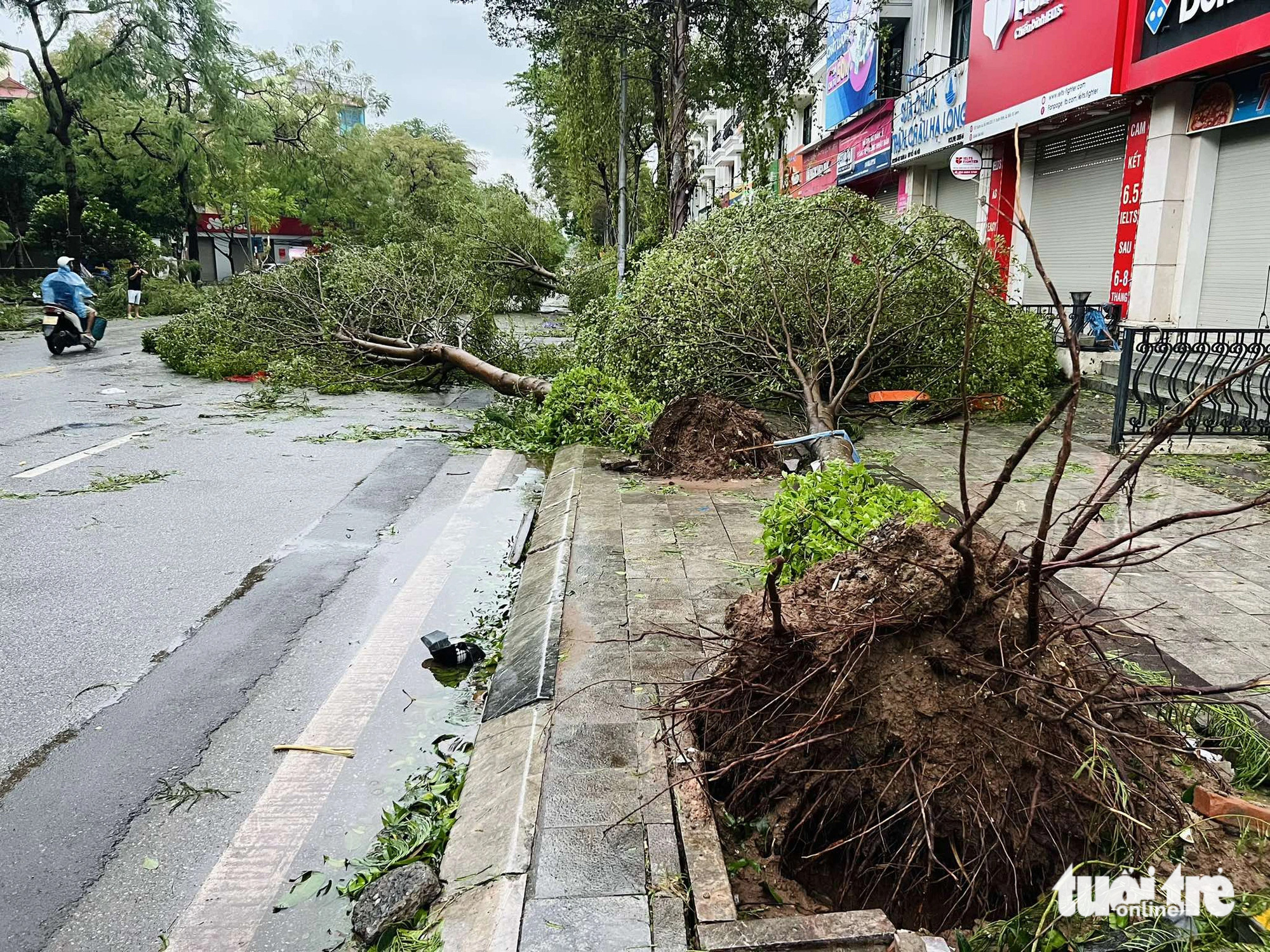 Sau ngày đêm bão số 3 càn quét khủng khiếp: Các tỉnh miền Bắc ngổn ngang cảnh gãy đổ - Ảnh 12.