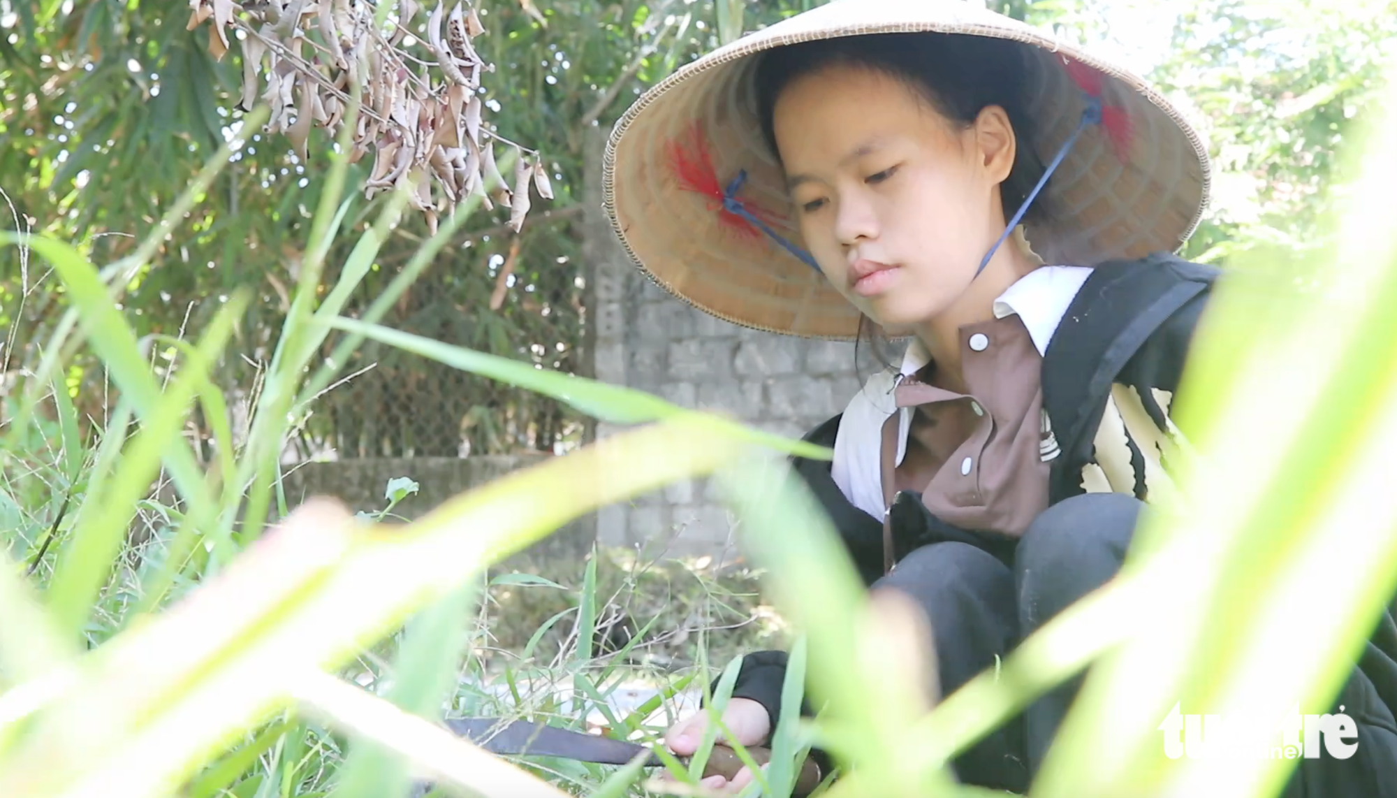 Tân sinh viên Nguyễn Thị Hải - Ngọn lửa cuối cùng trong căn nhà trống - Ảnh 7.