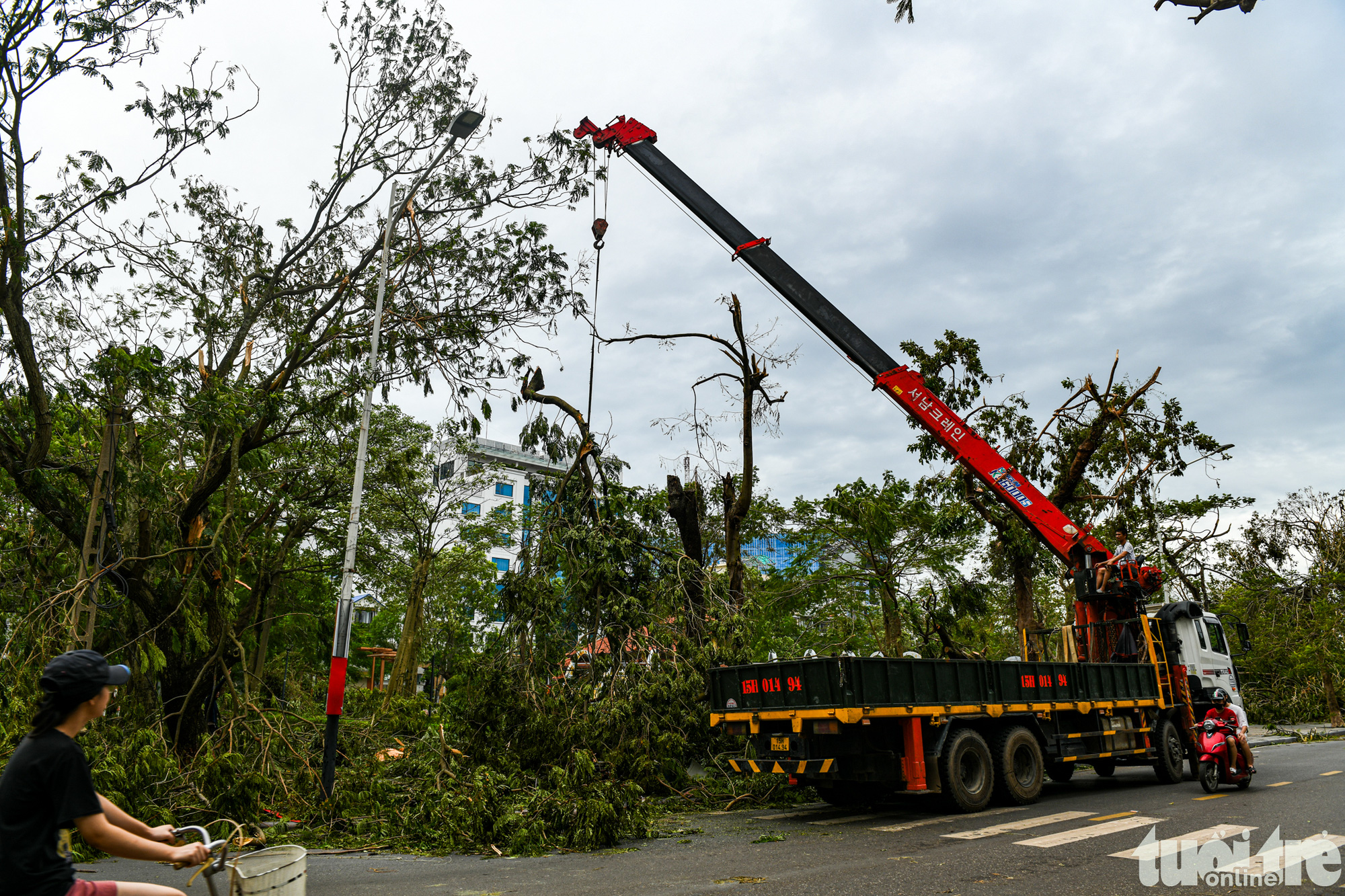 Người dân 'đất cảng' tiếc nuối nhìn ‘lá phổi xanh’ bật gốc, gãy đổ  - Ảnh 12.