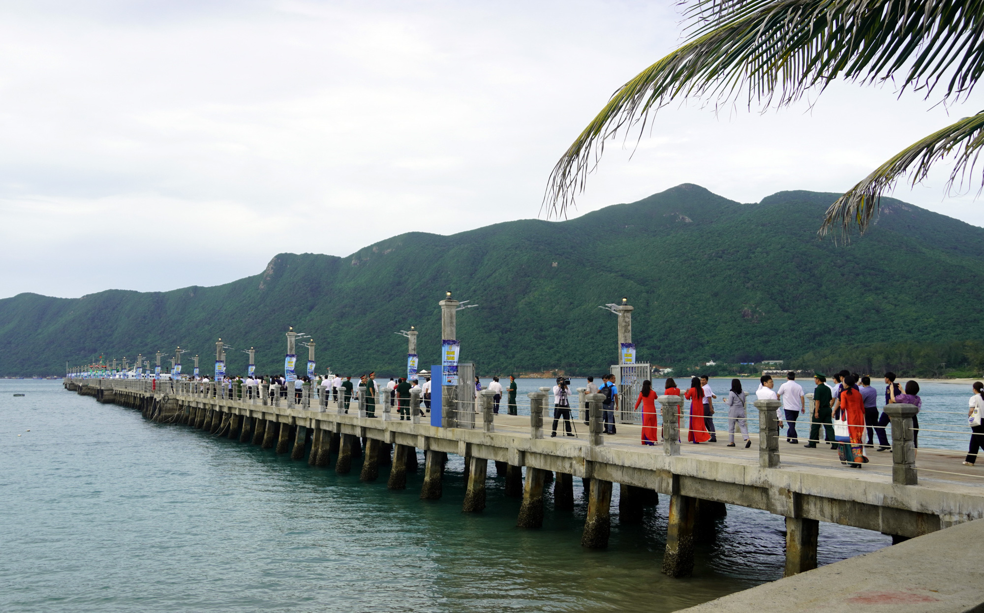 Travel across Con Dao island to see old forests and ancient trees in ...