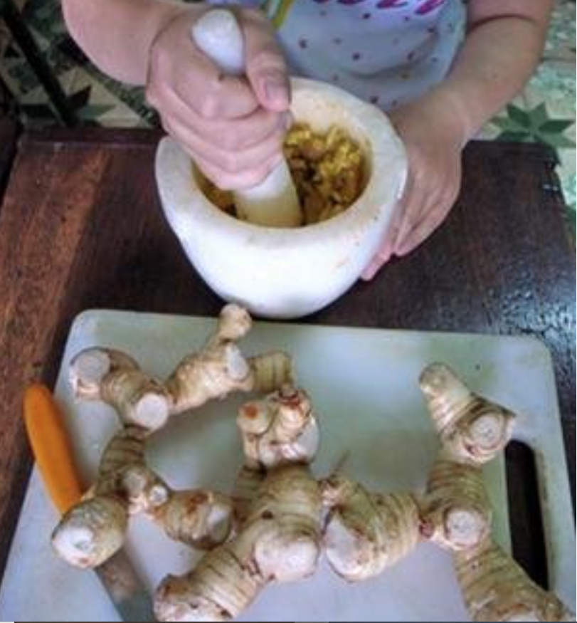 Củ riềng: Vị thuốc quý giúp phòng ngừa ung thư, giảm đau dạ dày và chống viêm - Ảnh 1.