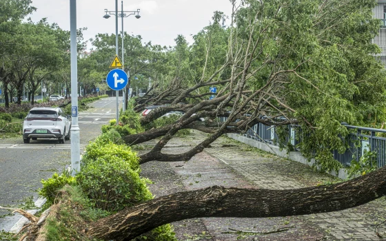 Bộ trưởng nói về 'bất thường' siêu bão Yagi, vào đất liền gió giật cấp 17 chưa từng có trong lịch sử - Ảnh 2.