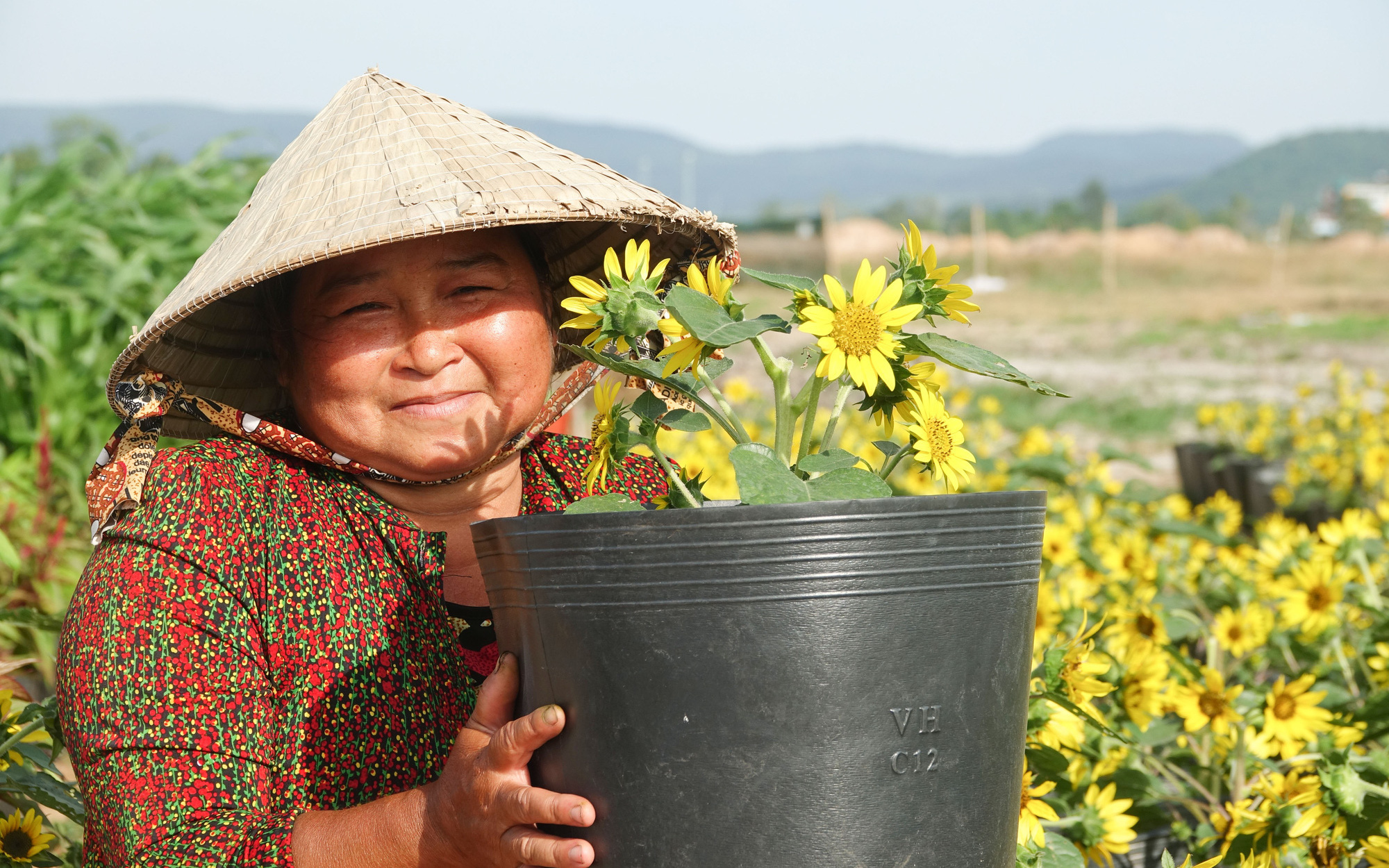 Sức mua chậm, người trồng hoa tăng bán online - Ảnh 2.