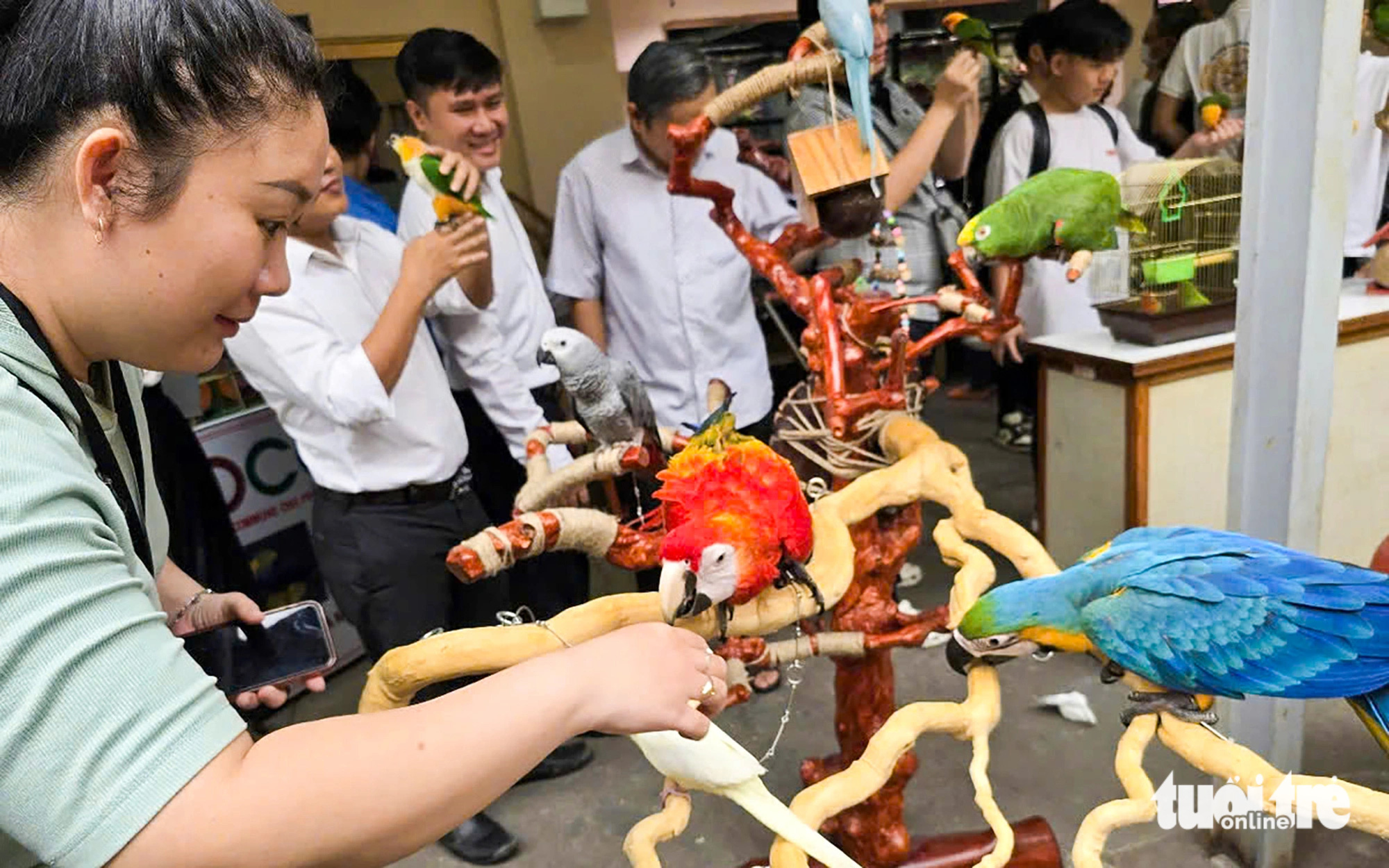 Chăn nuôi heo, bò sữa giảm mạnh, TP.HCM hướng sản xuất nông nghiệp công nghệ cao - Ảnh 1. Chăn nuôi ở TP.HCM giảm mạnh, hướng sản xuất nông nghiệp công nghệ cao - Ảnh 2.