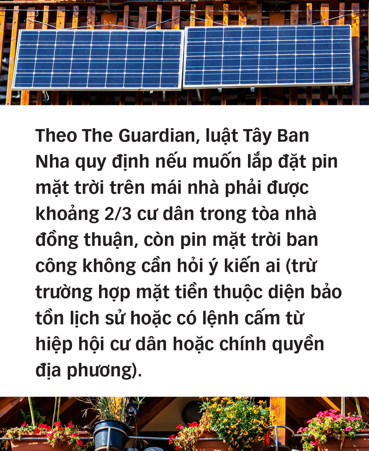 Chống biến đổi khí hậu từ ban công - Ảnh 8.