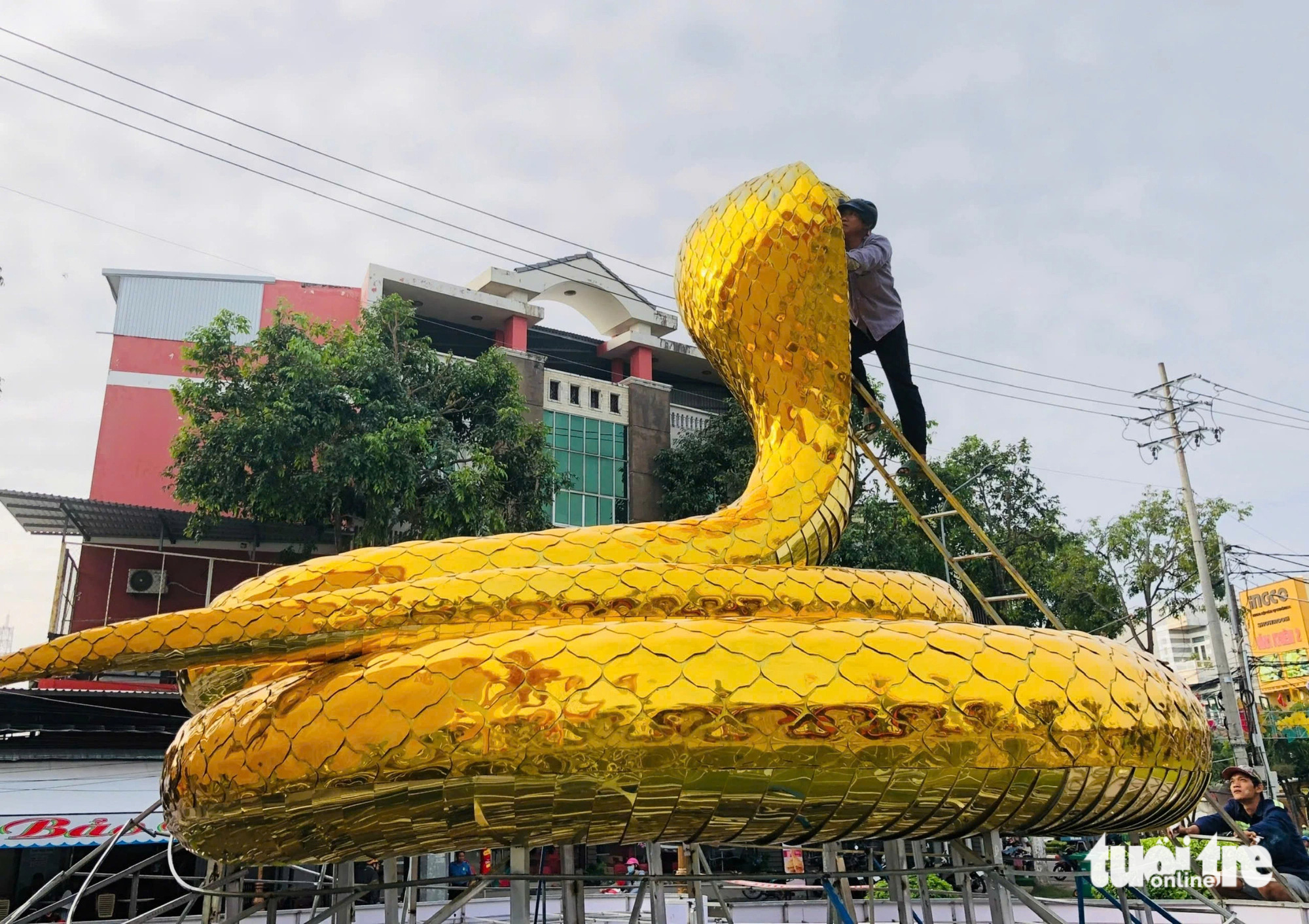 Linh vật năm Ất Tỵ ở miền Tây có chỗ giống như thật, dân nôn nao chờ chụp ảnh - Ảnh 3.