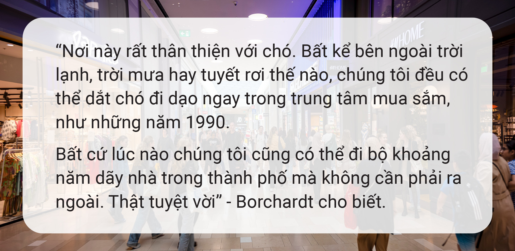 Nơi ta mua sắm cũng là nơi ta ở - Ảnh 7.