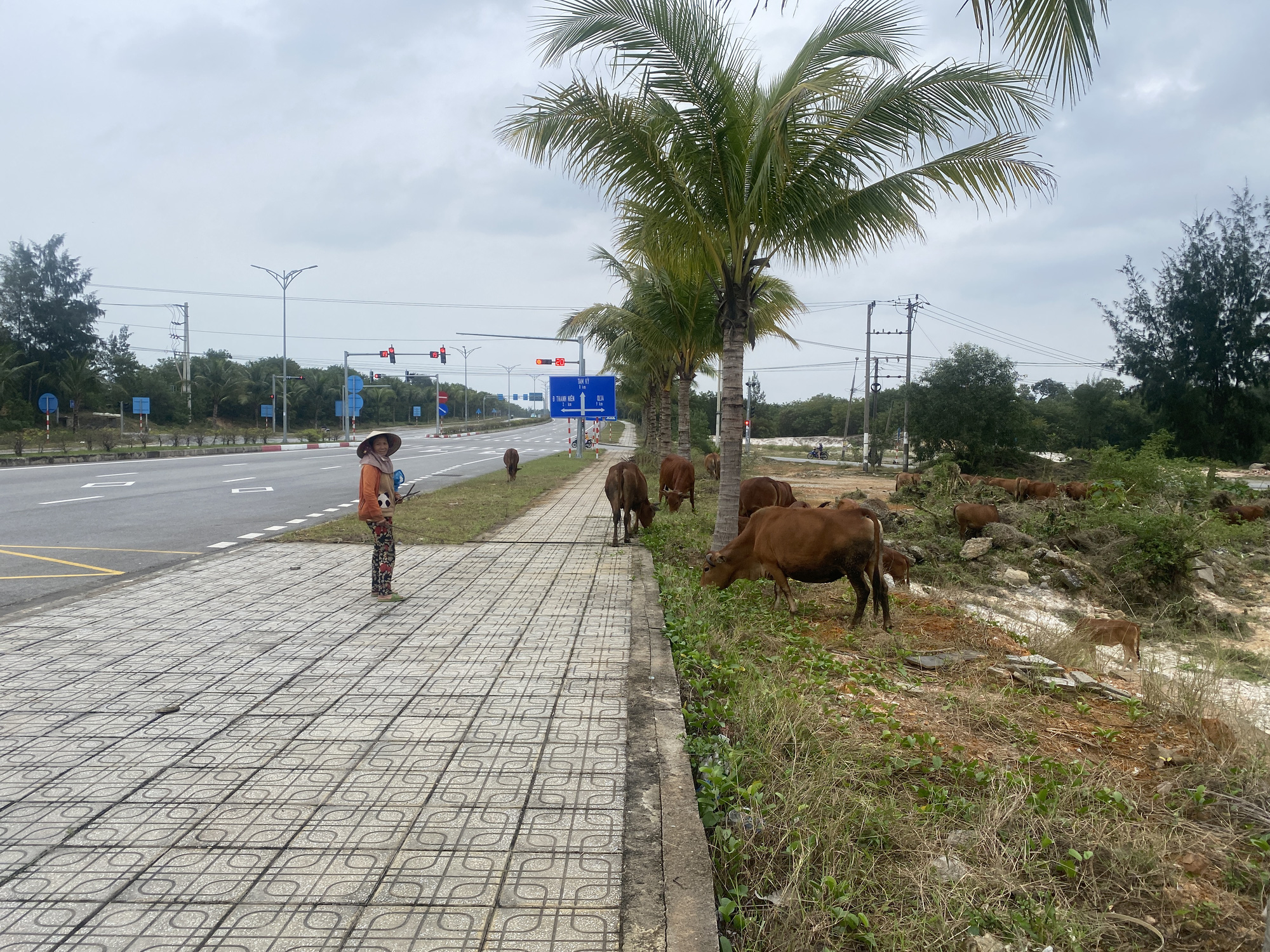 Đường '5 sao' ở Quảng Nam đầu tư ngàn tỉ nhưng lại cấm xe... trên 5 tấn - Ảnh 3.