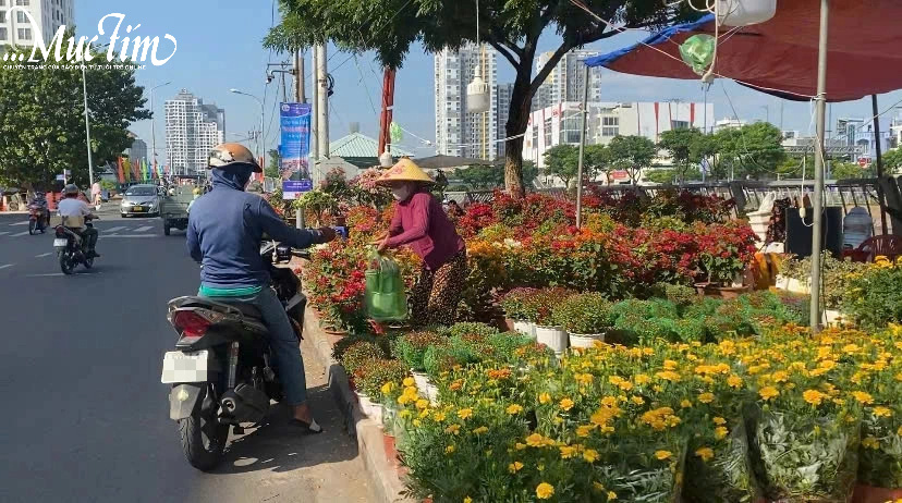 Không khí Tết đã bắt đầu nhộn nhịp tại bến Bình Đông (quận 8)- Ảnh 2.