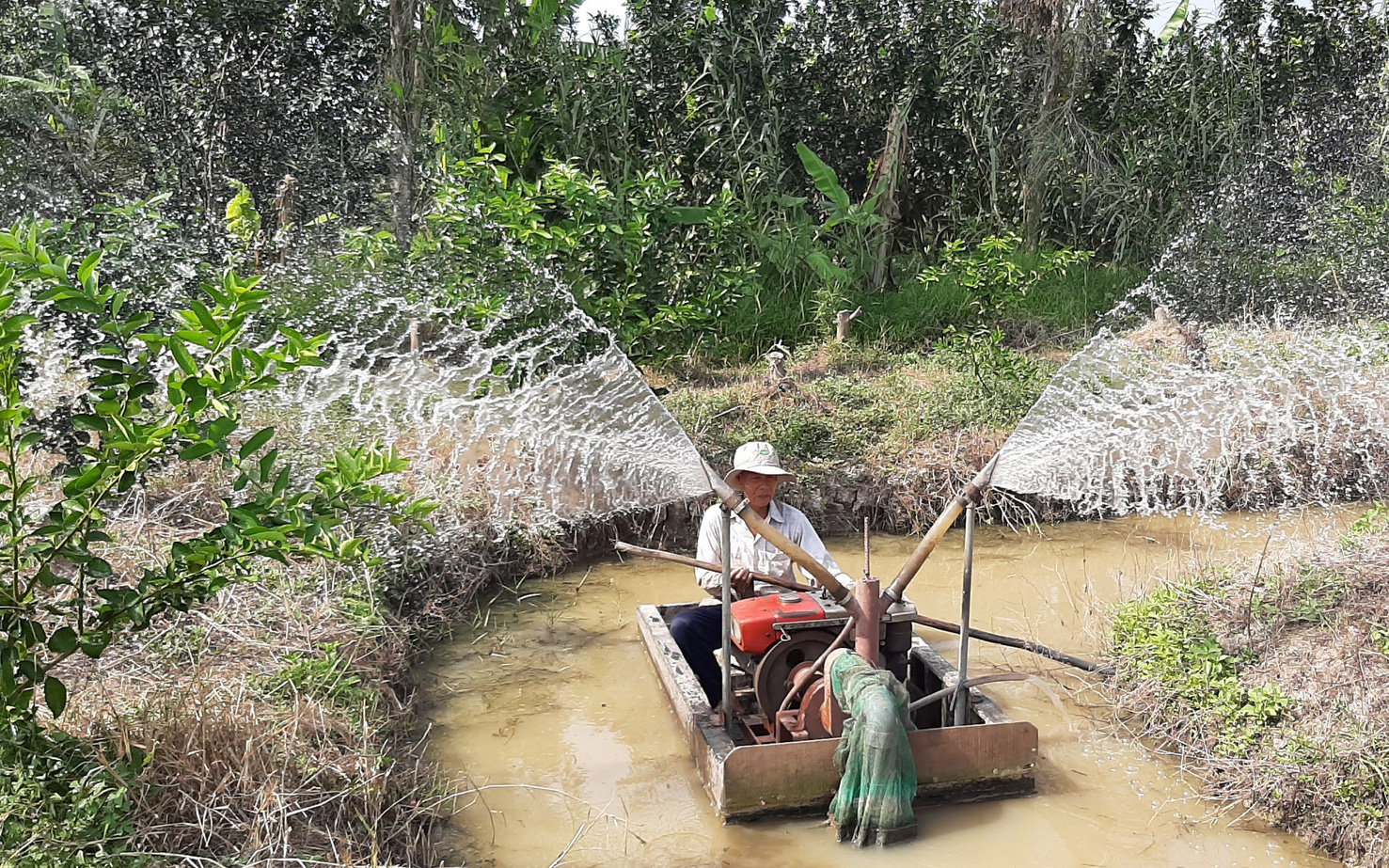 Xâm nhập mặn ở đồng bằng sông Cửu Long duy trì ở mức cao - Ảnh 3.