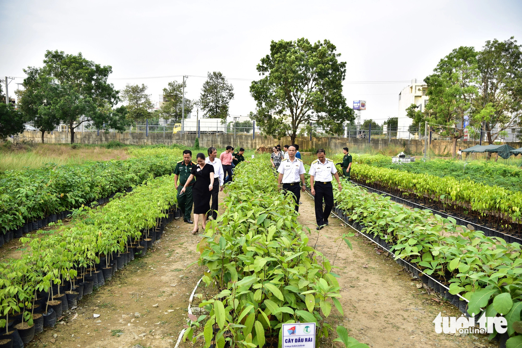 Hãy cùng nhau thực hiện “ước mơ xanh” cho quê hương Việt Nam - Ảnh 4.