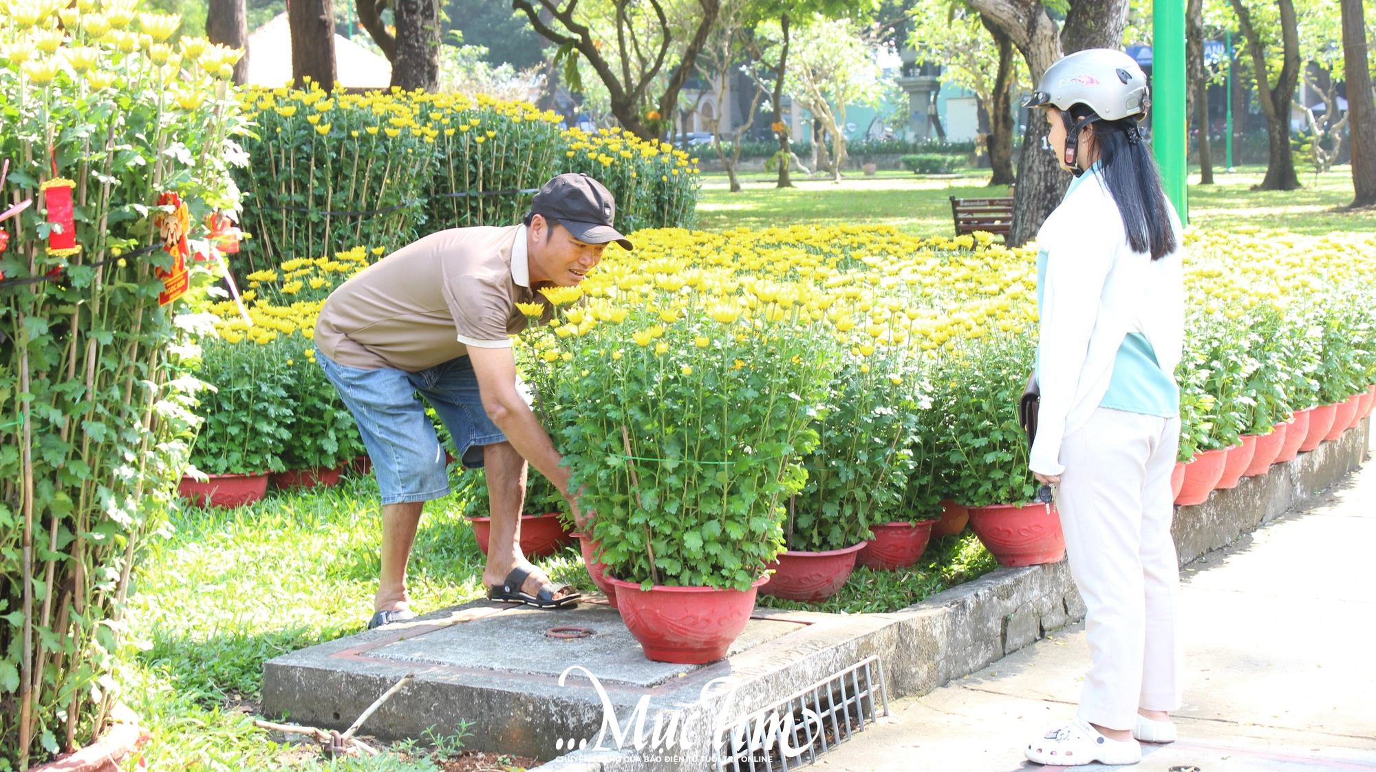 Ngập tràn sắc màu chợ hoa Tết tại một số công viên quận 1 (TP.HCM)- Ảnh 11.