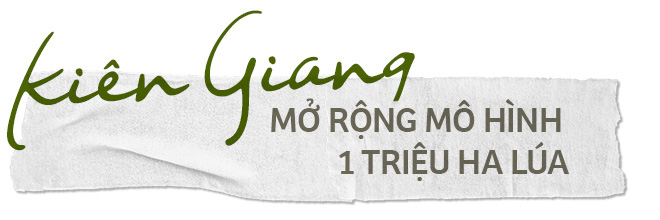 Đề án 1 triệu ha lúa giúp dân Kiên Giang hưởng lợi - Ảnh 6.