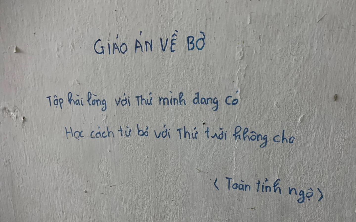 Cảnh khuyển nổi tiếng mất thưởng Tết vì ngủ gật - Ảnh 3.