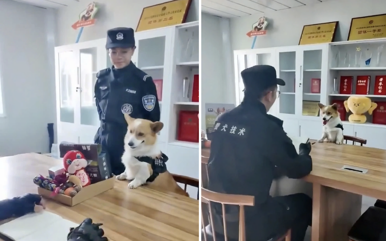 Ảnh vui 27-1: 'Tình hình dọn nhà đón Tết của mấy ní thế nào rồi?' - Ảnh 8.