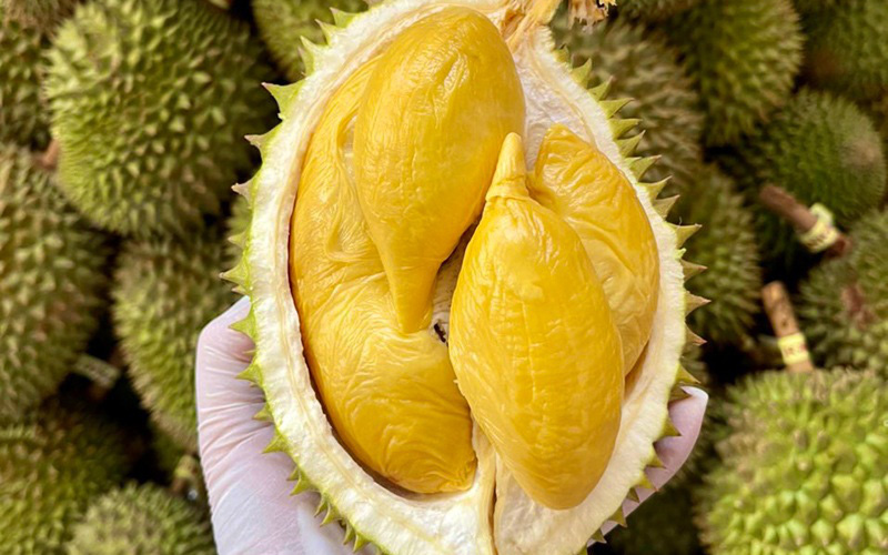 Lãnh đạo Bộ Nông nghiệp lên tiếng về việc Trung Quốc kiểm tra vàng O trong sầu riêng - Ảnh 3.