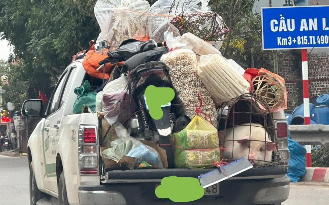 Cảnh khuyển nổi tiếng mất thưởng Tết vì ngủ gật - Ảnh 1.