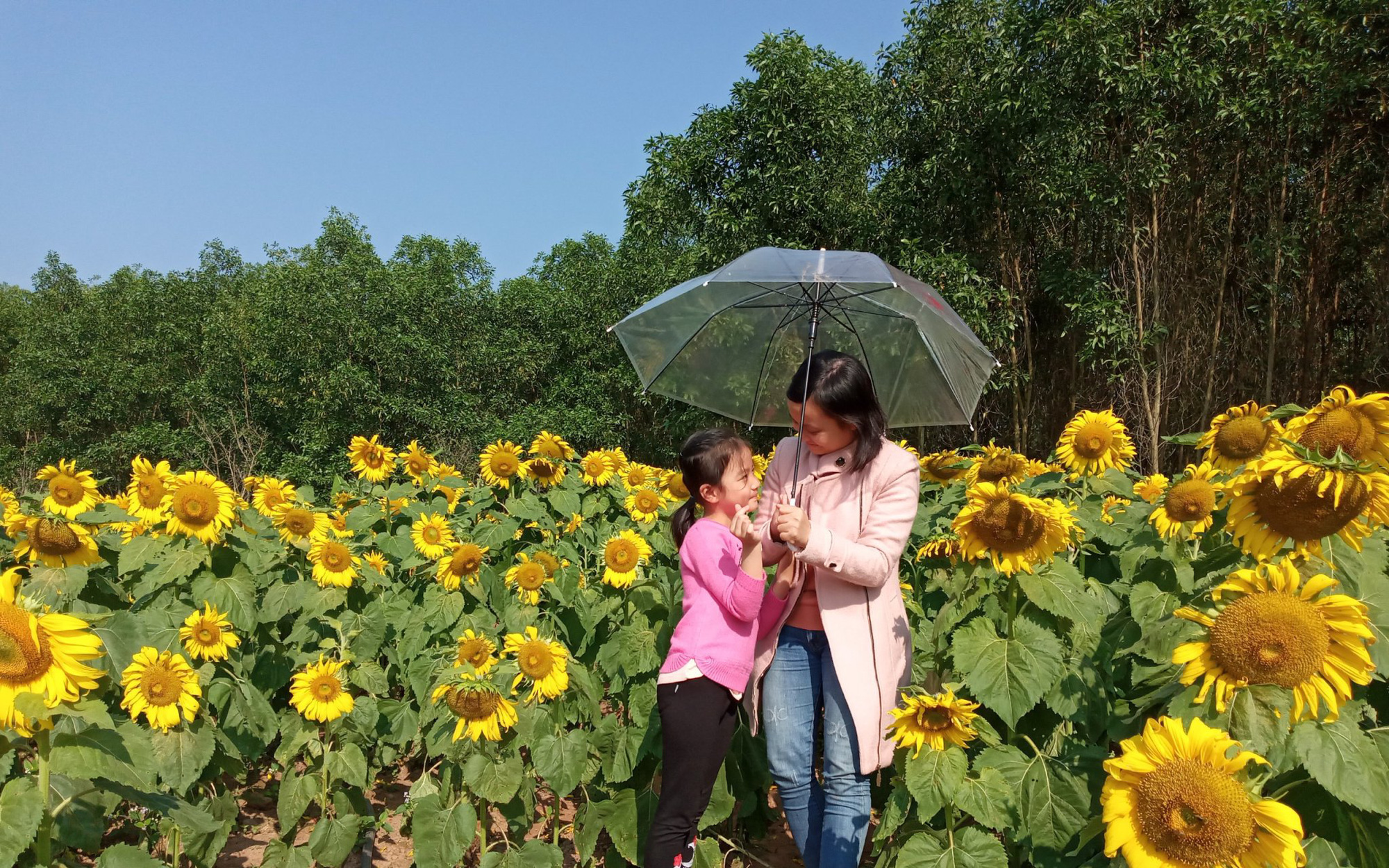 Lại một cái tết xa nhà - Ảnh 6.