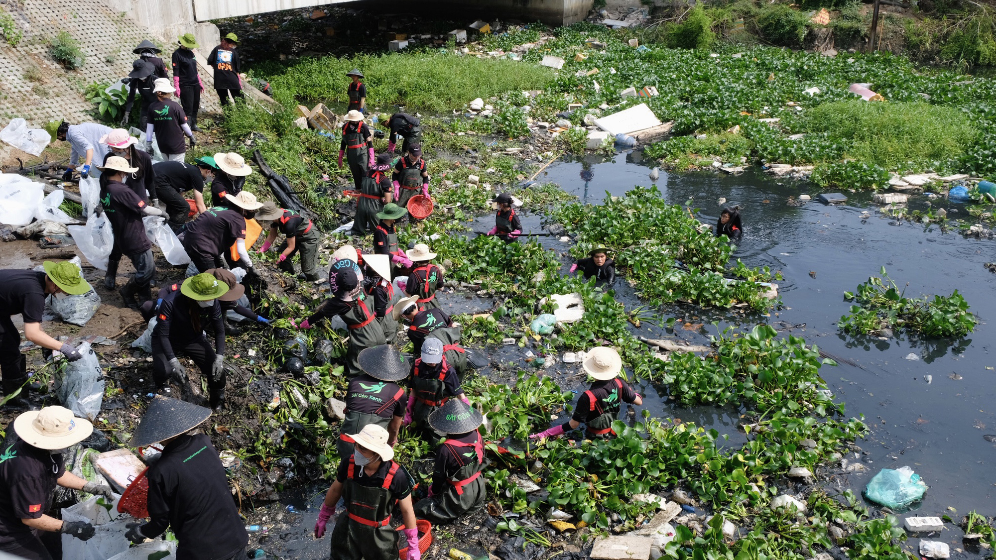 Kinh hoàng rác nhựa ngập tràn - Kỳ 5: Người trẻ 'gieo' lối sống xanh - Ảnh 4.